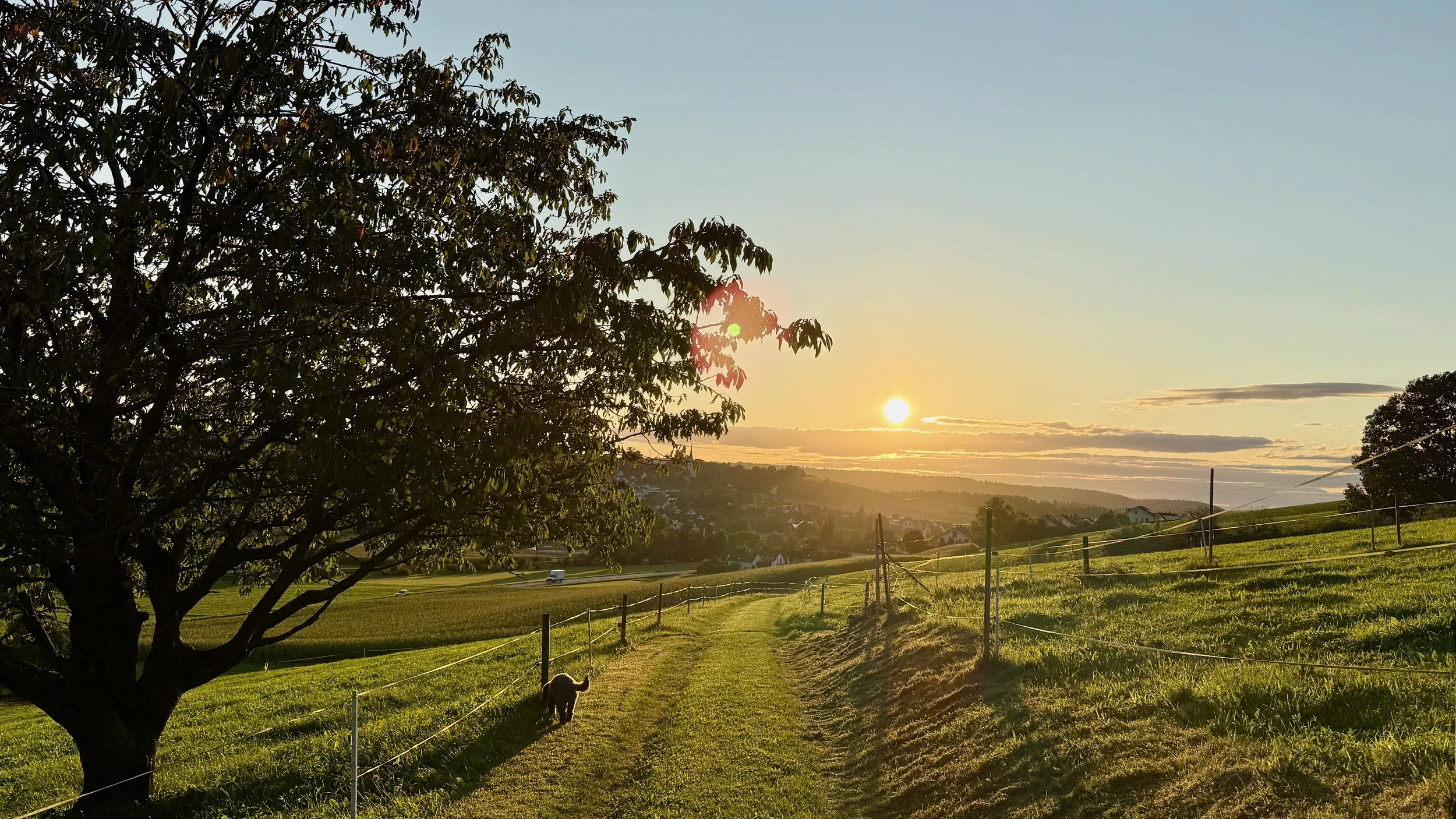 Kostenfrei -🙏🏻💝 Altes möchte gehen - lass es ziehen in Leichtigkeit, SO 21. September 2025 um 20.00h