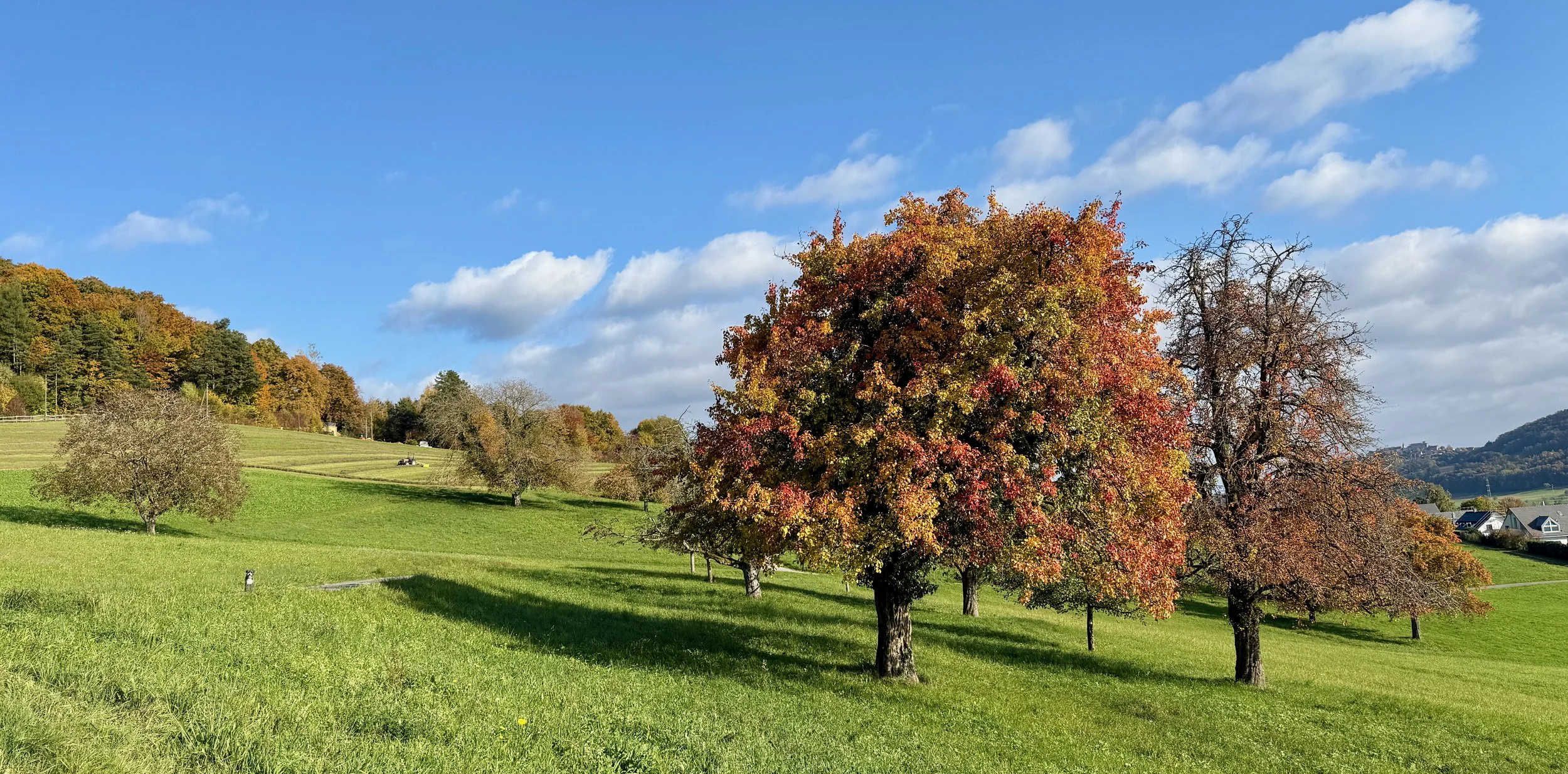 🍂☀️💖 Rückkehr zu deiner wahren, inneren Schöpferkraft, DI 21. Oktober 2025 um 20.00h