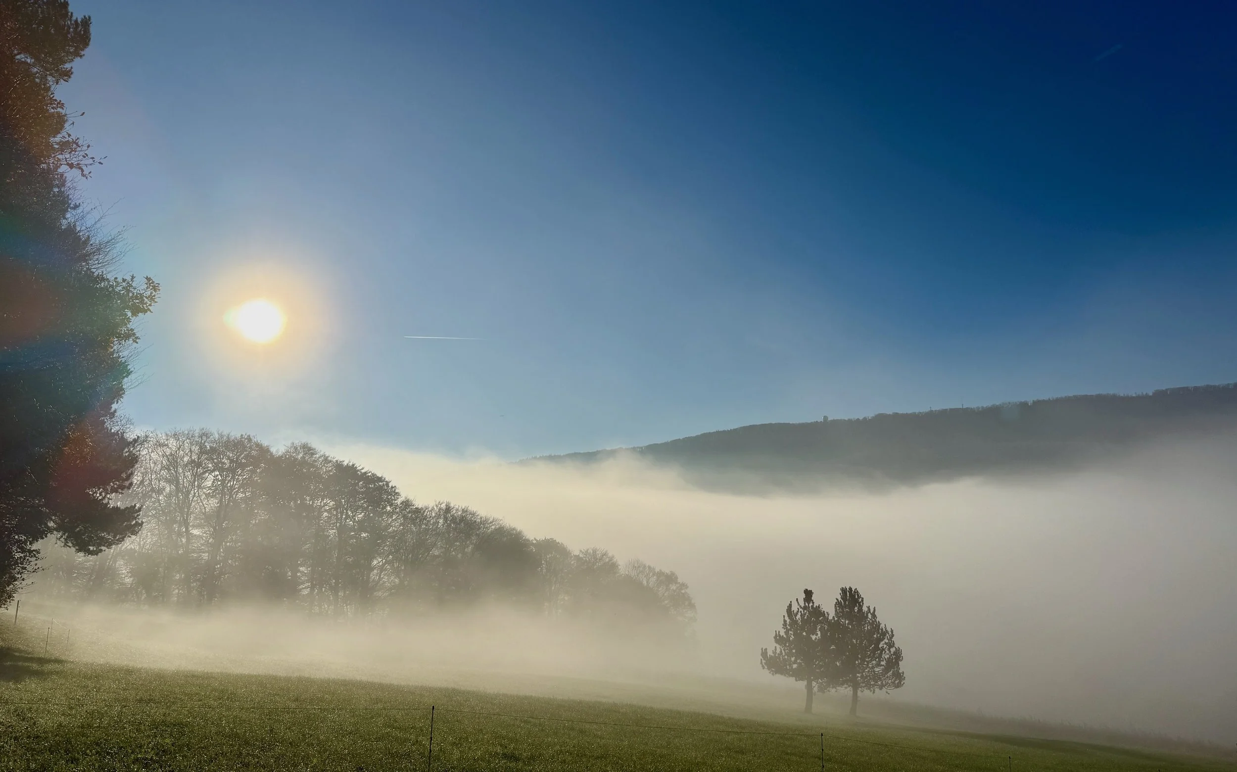 🌈💝☀️💥 Webinar-Serie Lichtbrücke - NEUZEIT 🌈💝☀️💥, ab MO 24. November, 20.00h