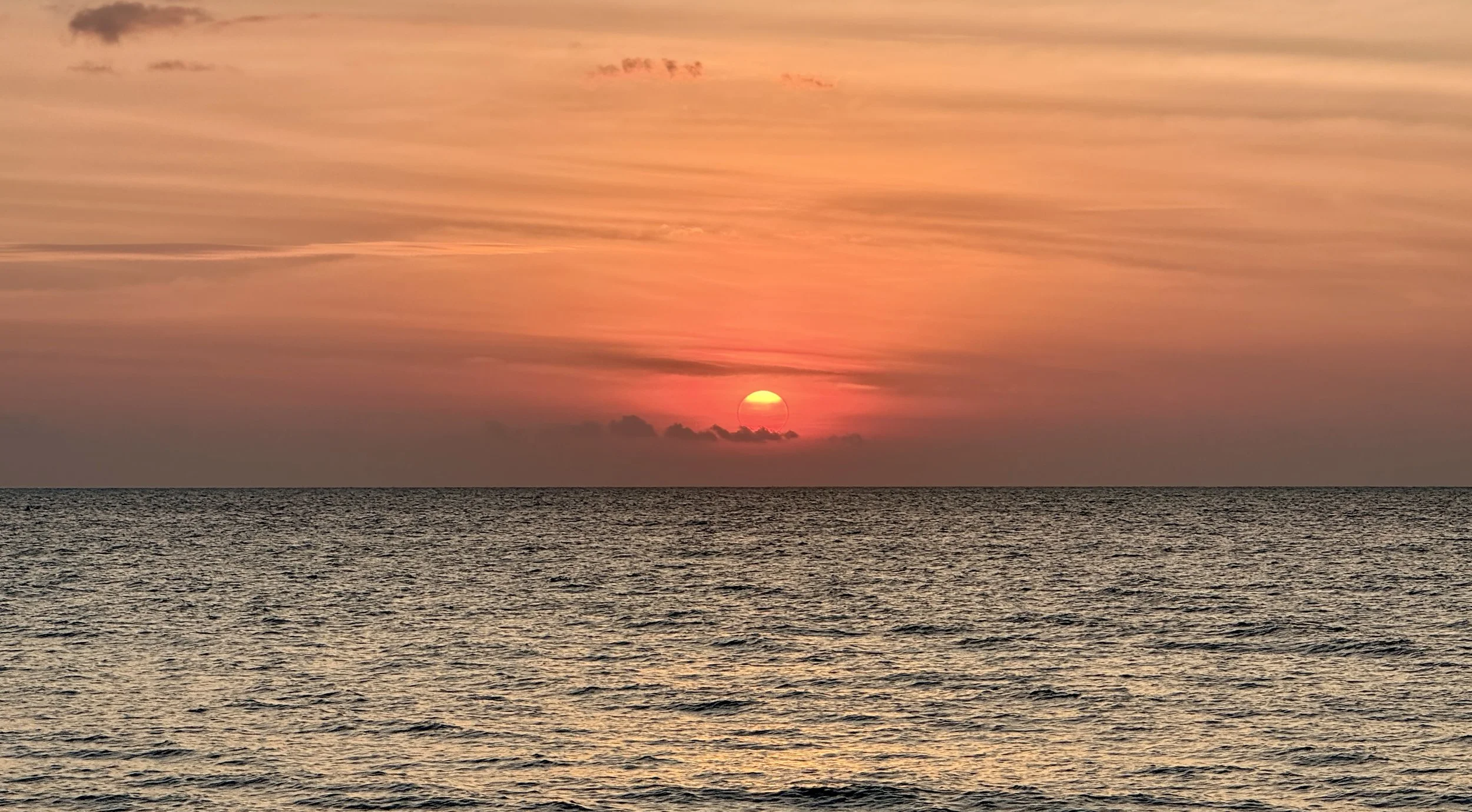 💥💝🌹🔥 Webinar-Serie Lichtbrücke - NEUZEIT - Dein inneres Feuer, deine Kraft im freien Fluss &amp; stabil verankert 💥💝🌹🔥, ab MO 9. März, 20.00h