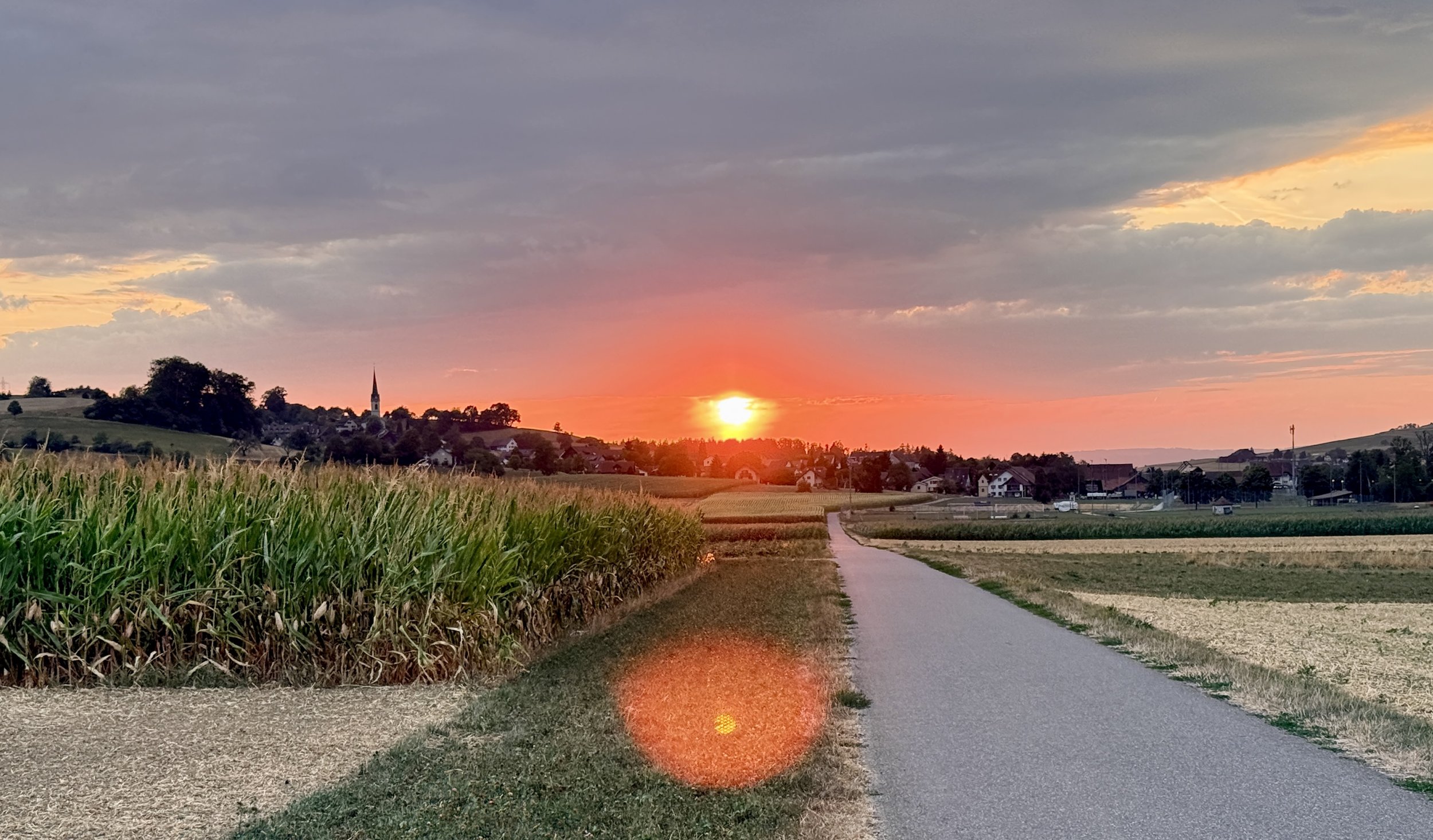 💝🌹 Webinar-Serie Lichtbrücke - NEUZEIT - Tiefste Heilung deiner inneren Räume 💝🌹, ab MO 24. August 20.00h