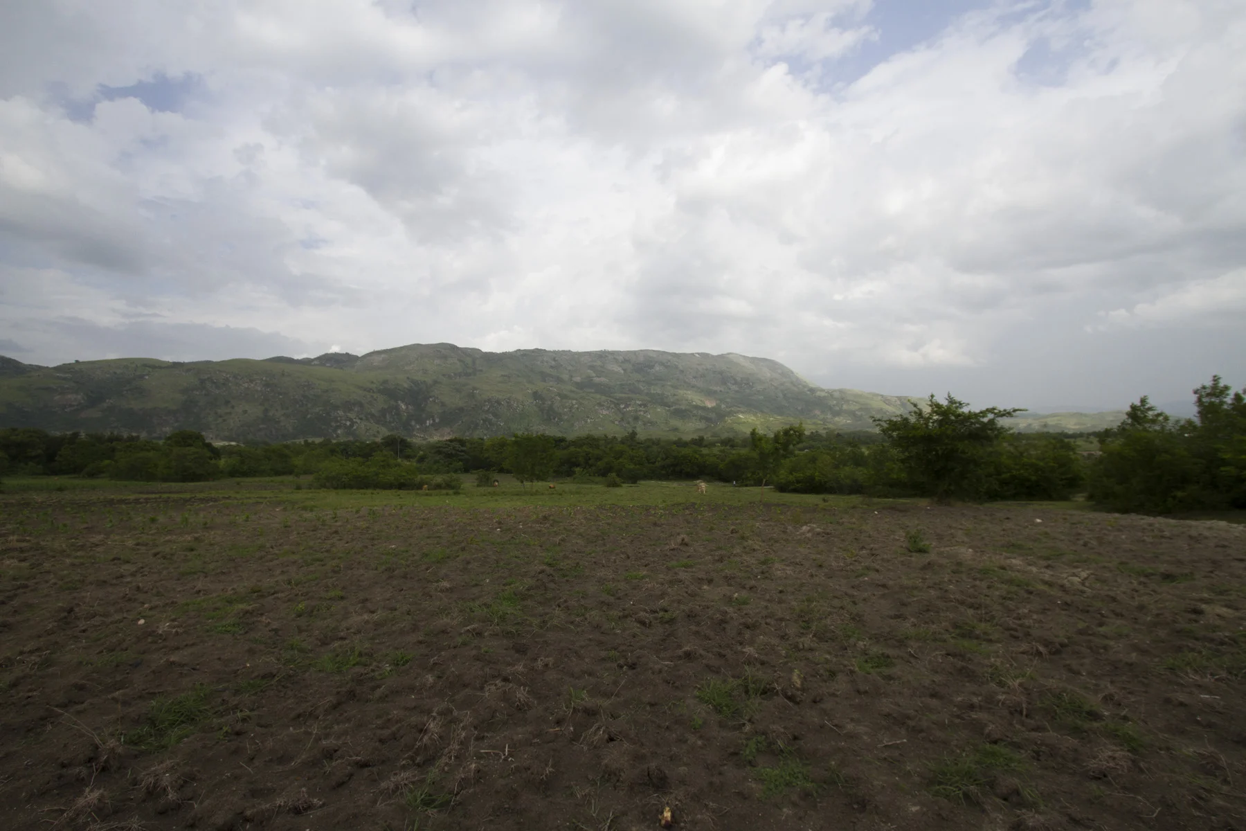 Our stake in the ground