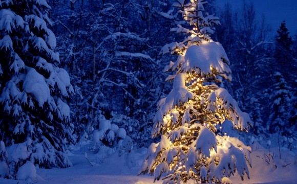 Merry Christmas and Happy Holidays from all of us at the Catskill Center!