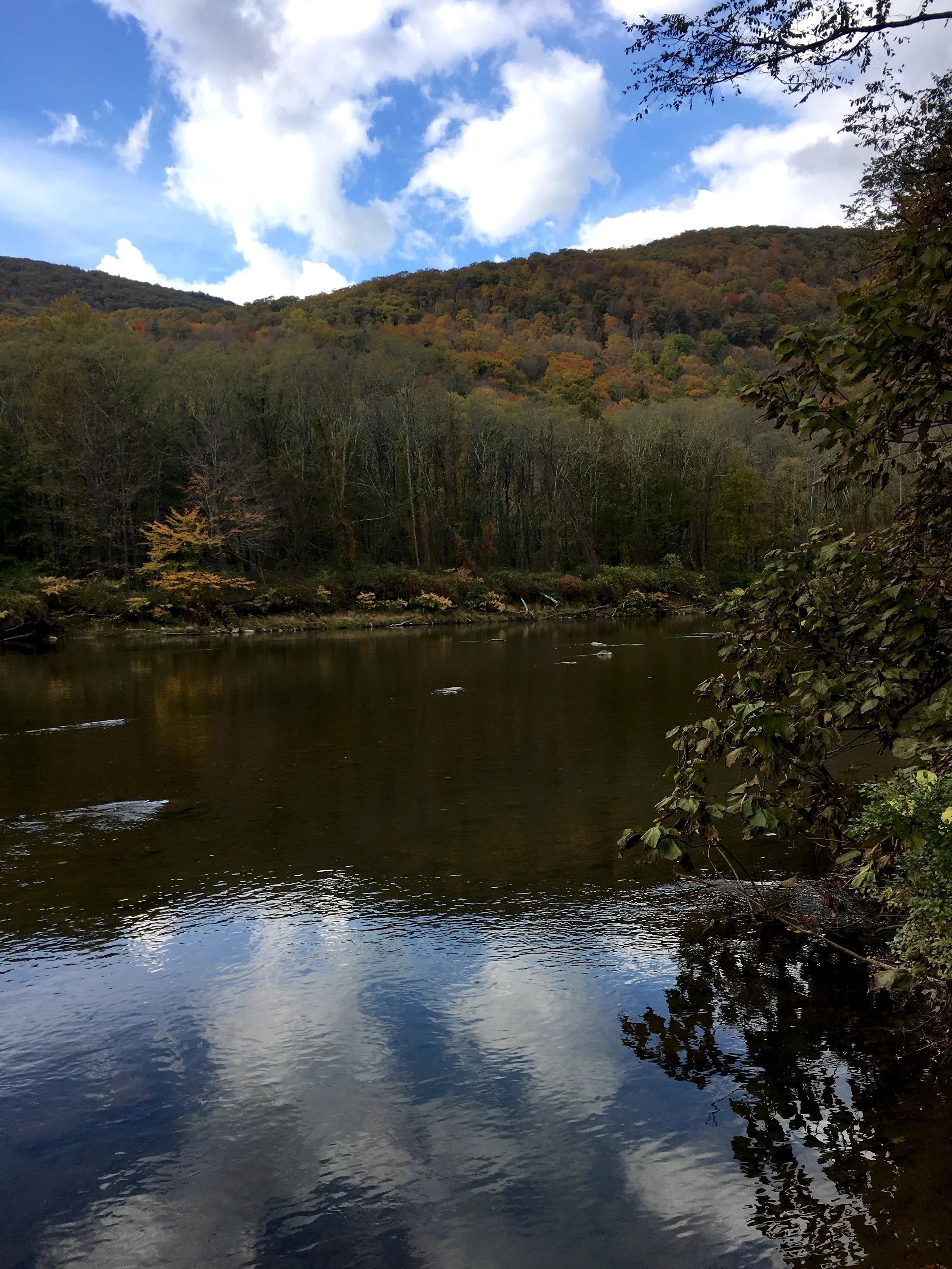 The Esopus Creek Trail at the Catskill Interpretive Center still has some nice fall color this week.