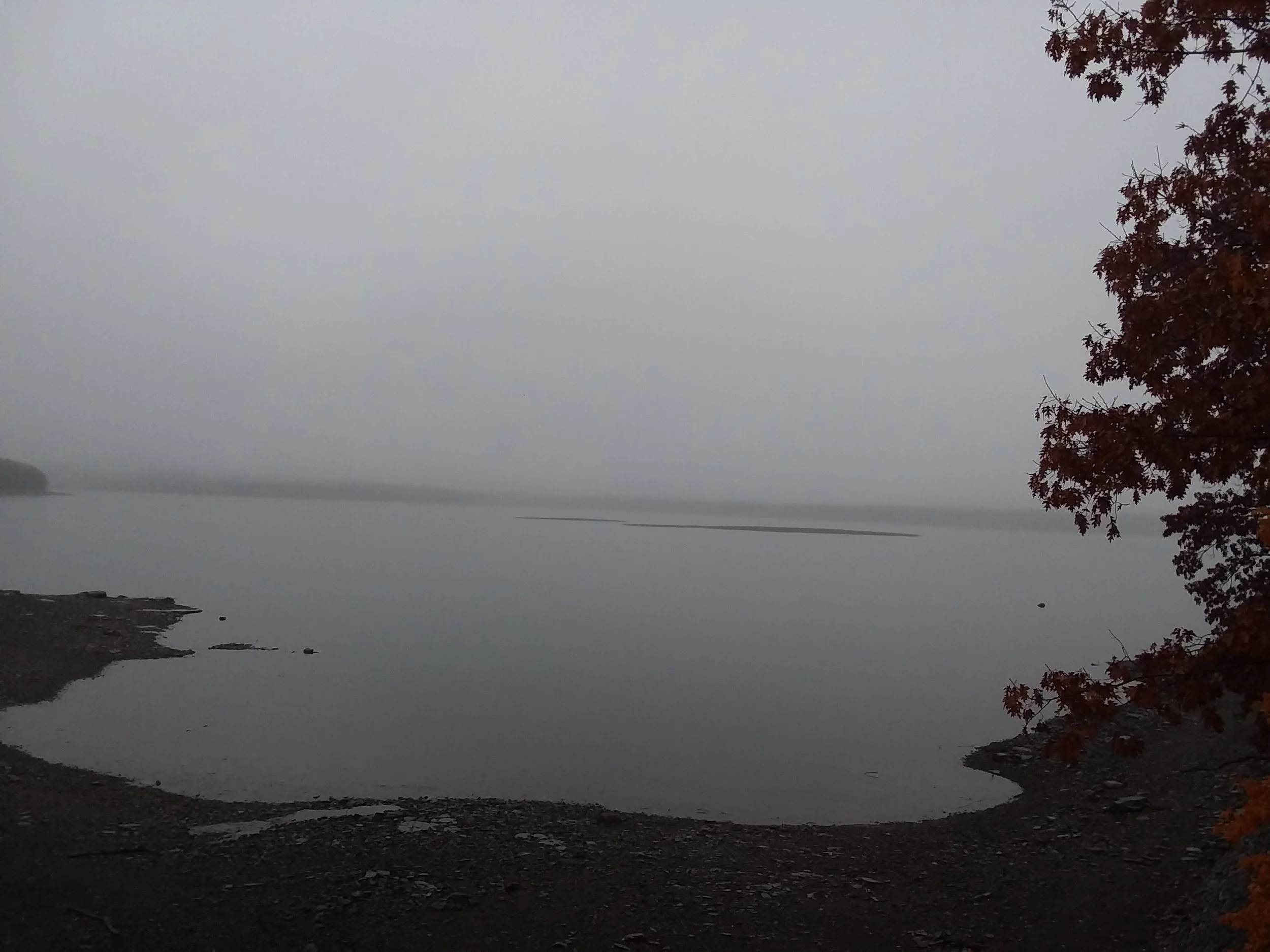 Where did the Catskill Mountain range go? Spooky fog along the Ashokan Reservoir this past week.