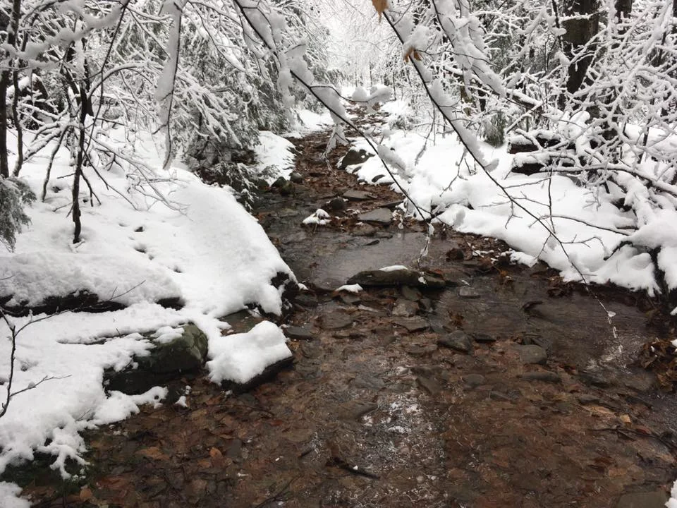 Wet, fluffy snow can be found at all higher elevations this weekend.