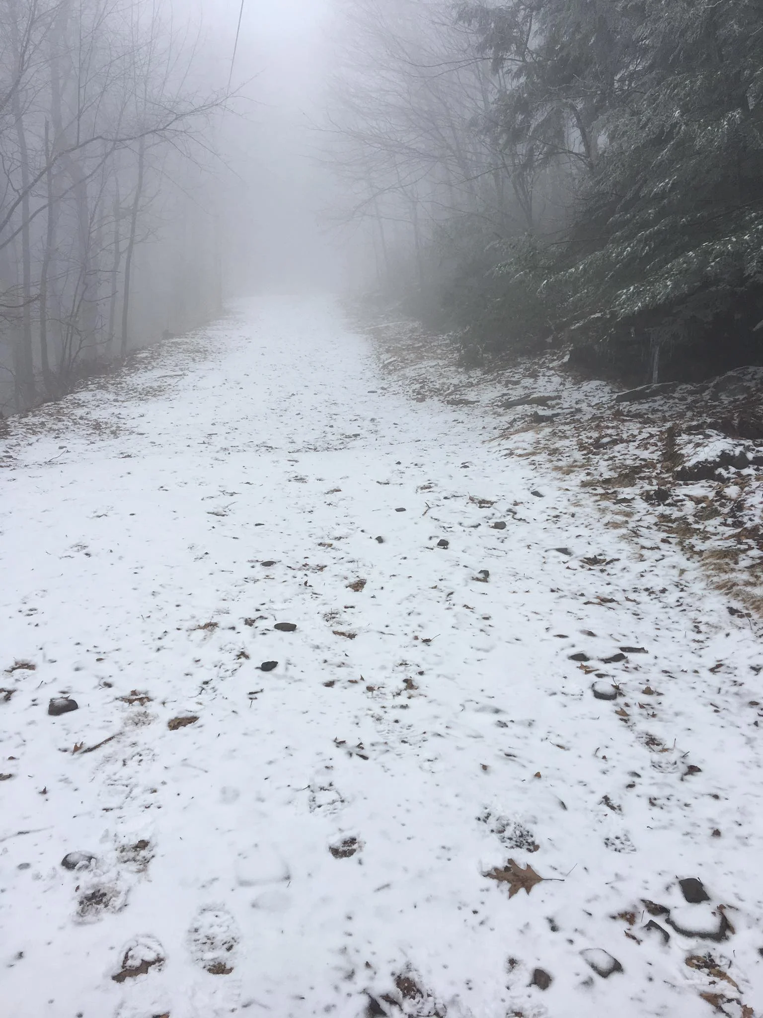 The Overlook Mountain trail on Wednesday with a light dusting of new snow.