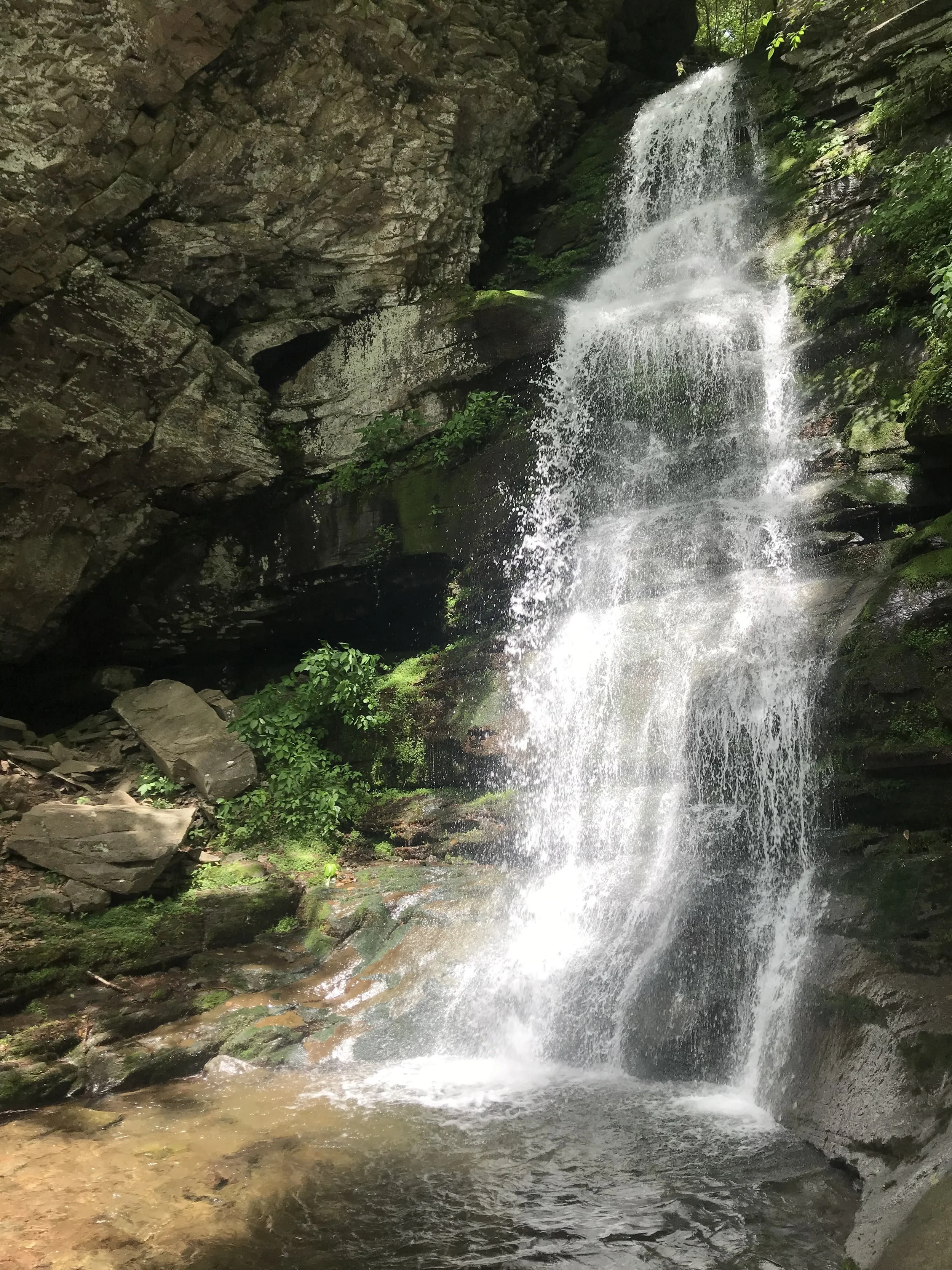 Buttermilk Falls in the Peekamoose Riparian Corridor