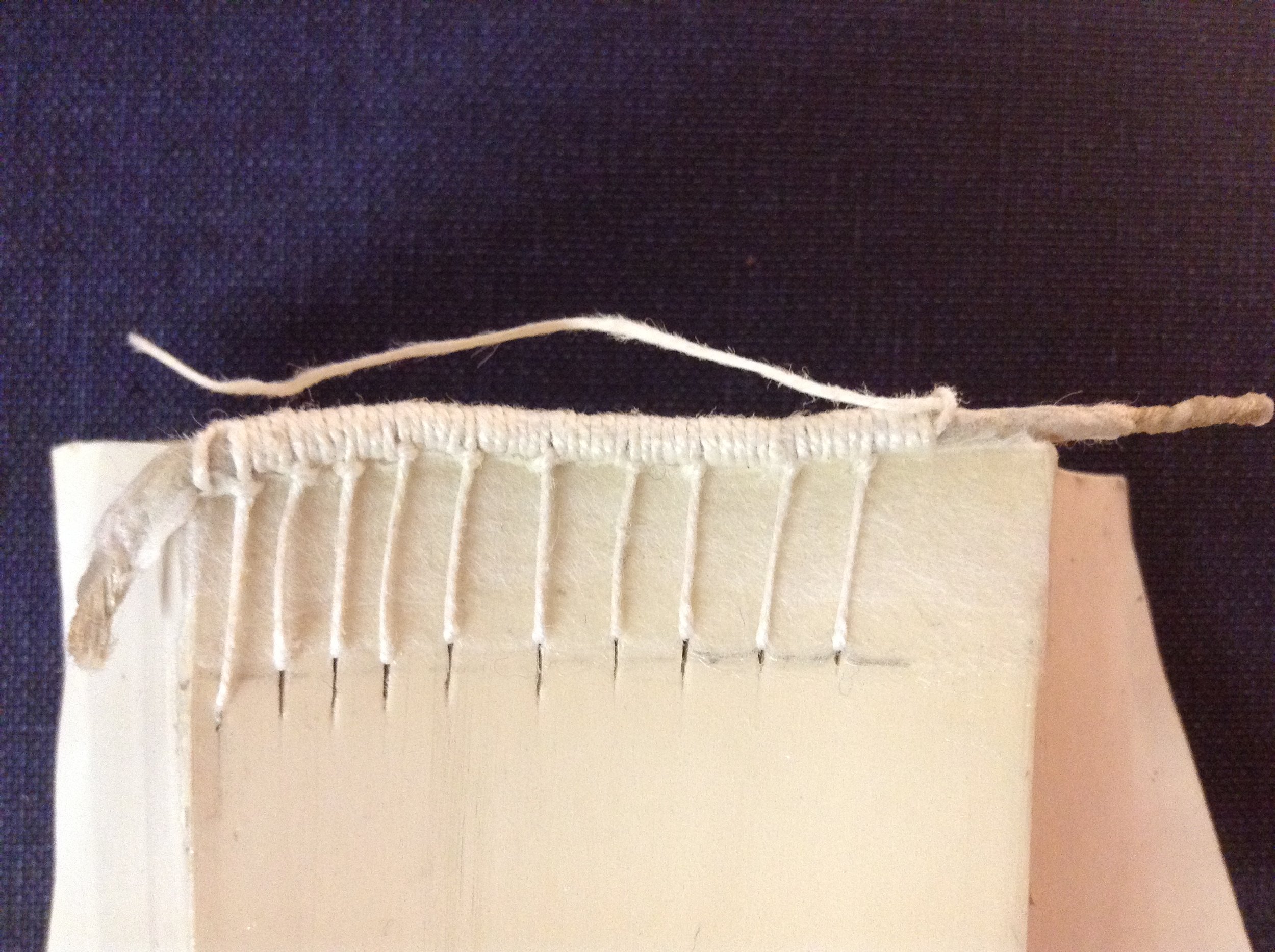 Conservation Headband with beading on the back.
