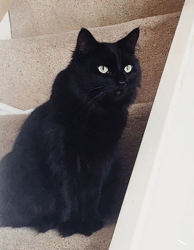 Pip