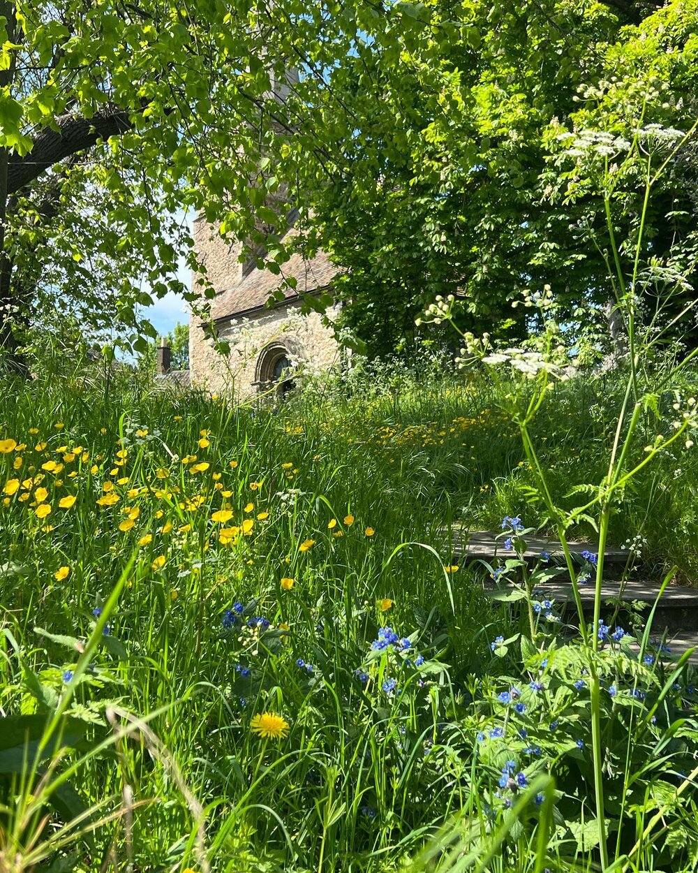 KETTLES YARD

A perfect, sunny, warm May day to visit @kettlesyard in Cambridge (quite possibly the most relentlessly English, artsy-Fabian-bourgeois place I&rsquo;ve ever been&hellip; EVEN ALDEBURGH!)

Good old Leslie Martin though. Such a lovely in