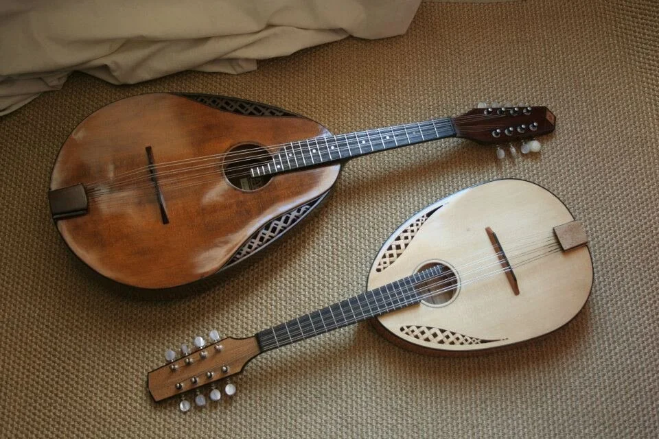 Kerman Mandolin: A unique instrument in the world