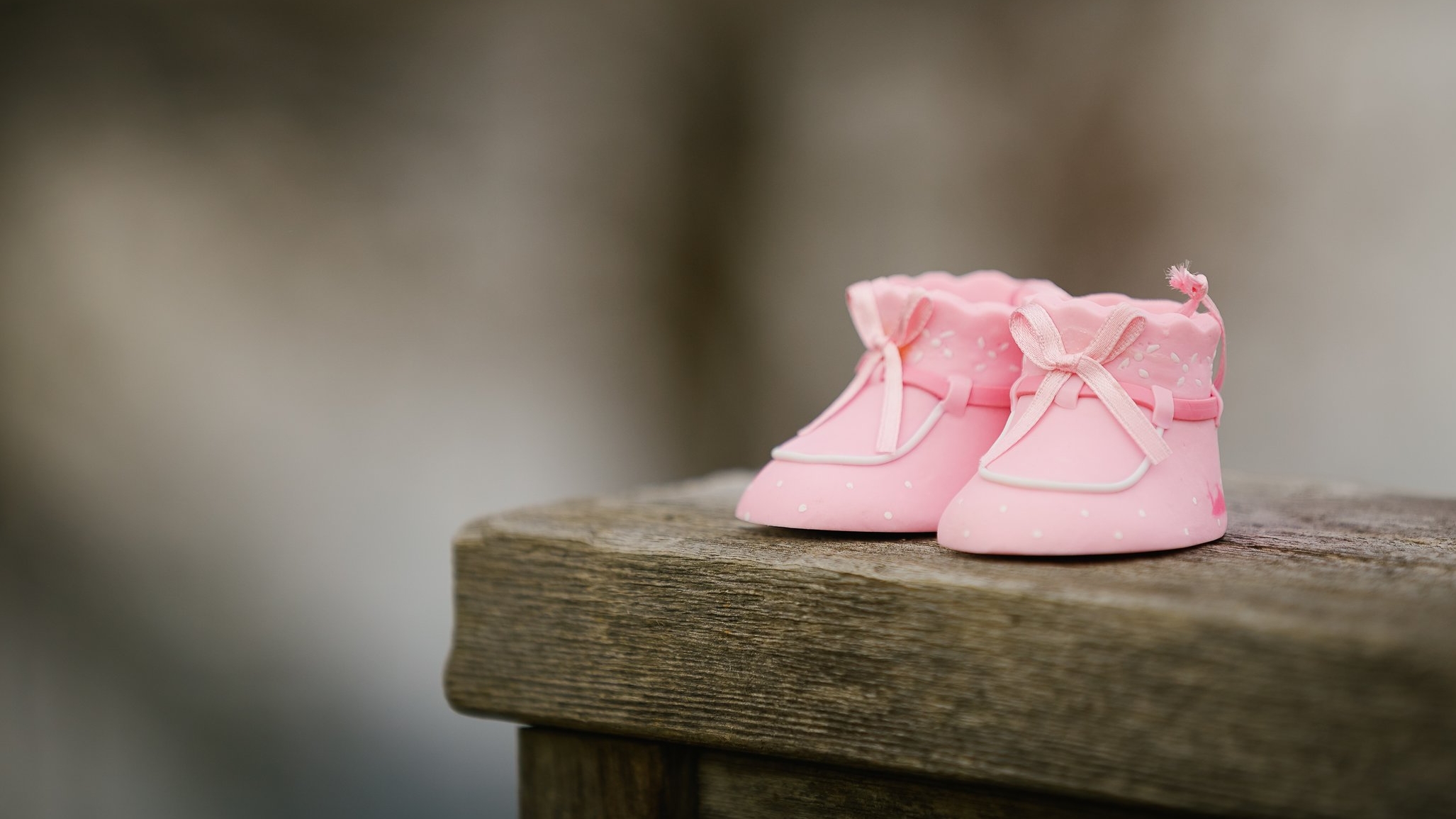 mon-petit-chou-photography-284495.jpg