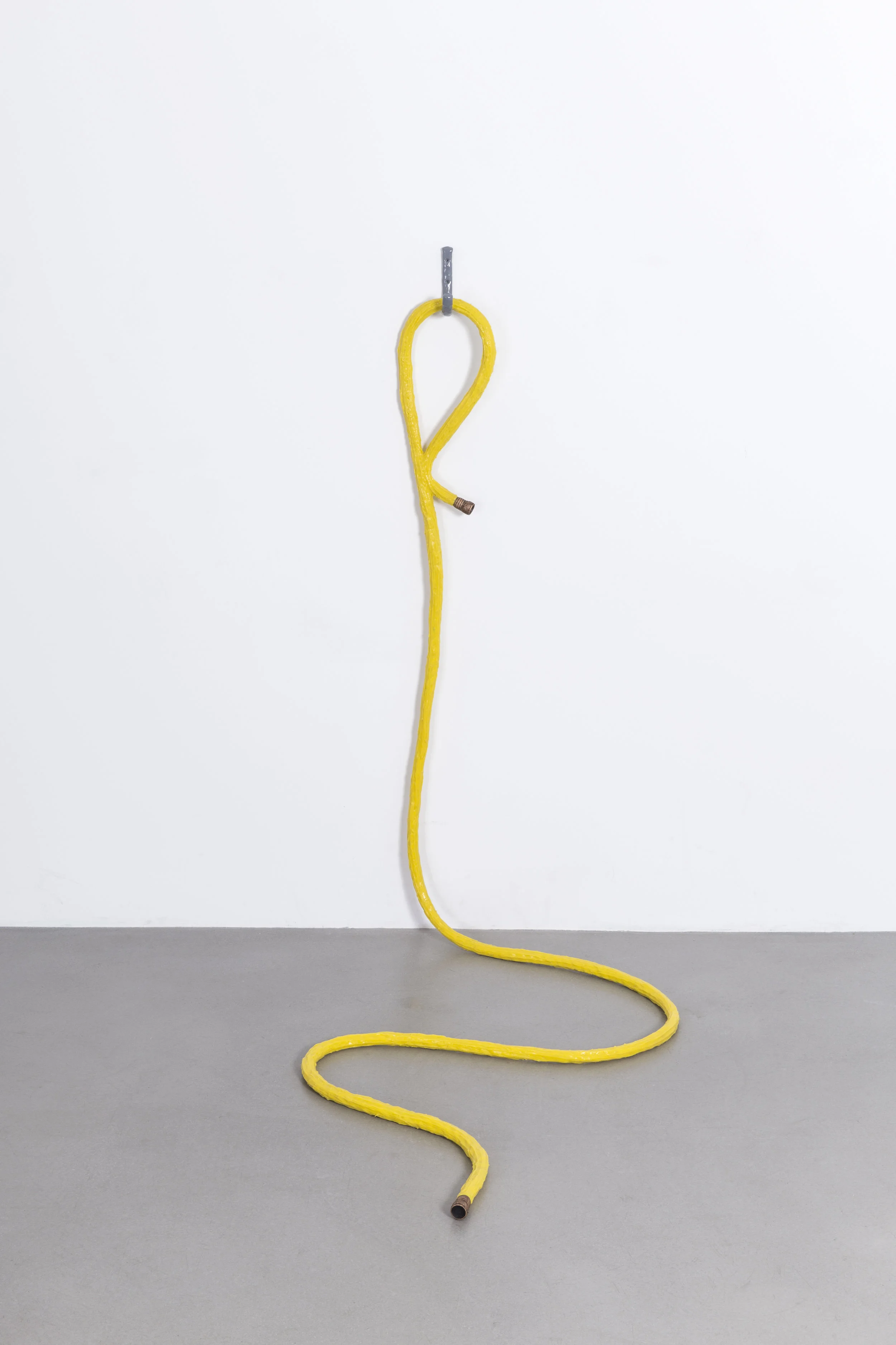 YellowHose01.jpg