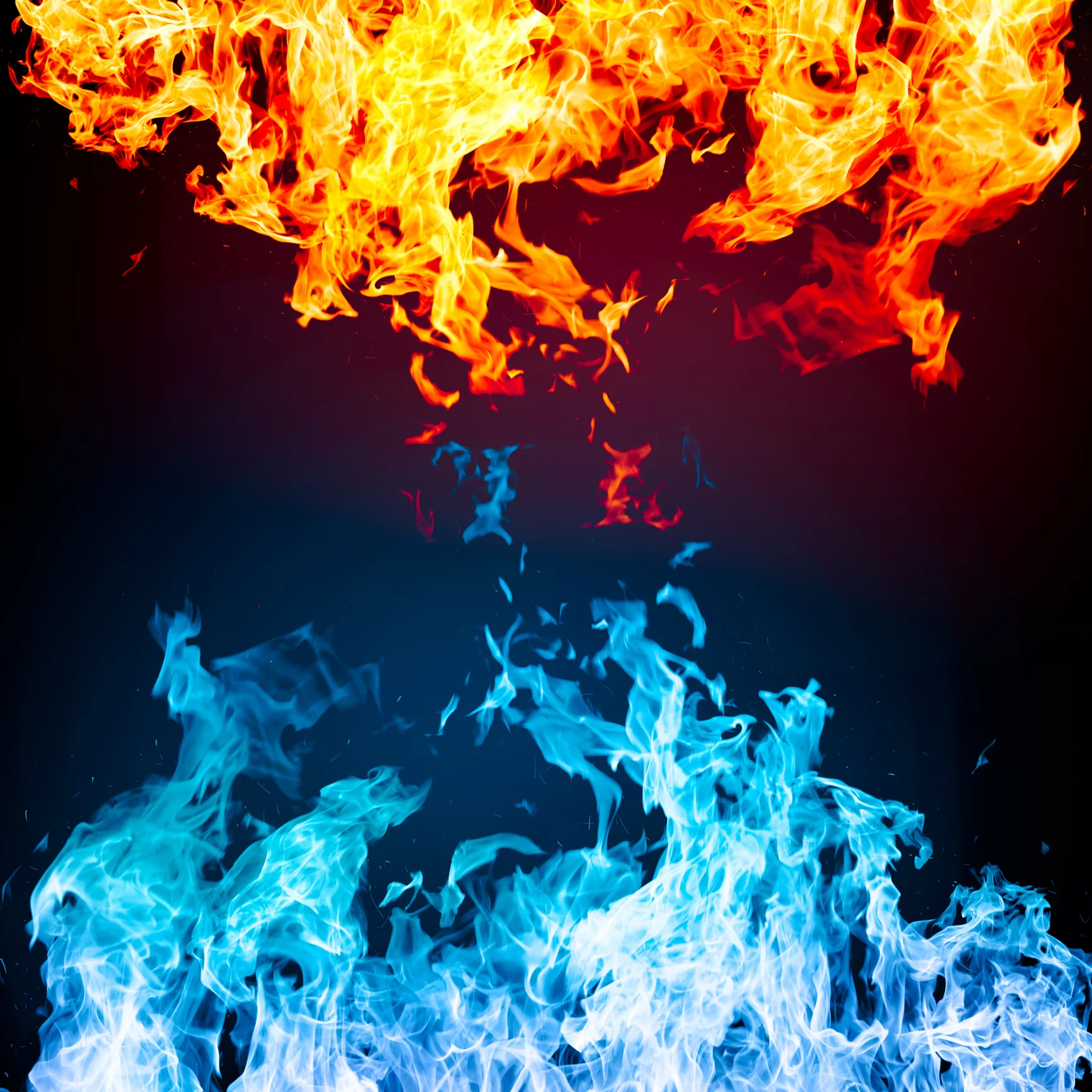 iStock-474486532.jpg