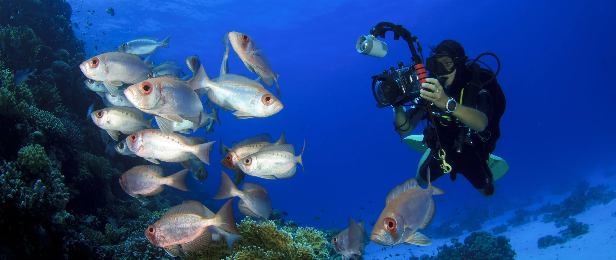 iStockphoto.com | richcarey