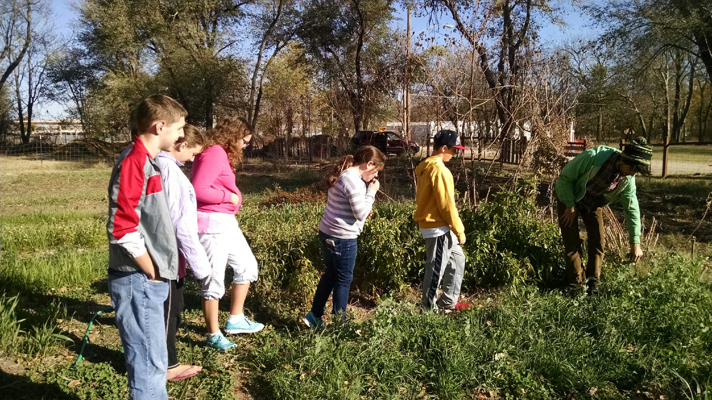 After raking leaves, the group stopped by the LegacyWorks garden for some fresh veggies. 