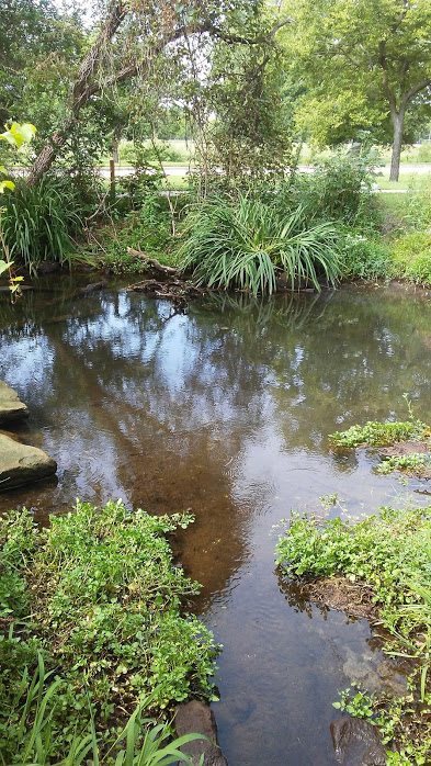 The WATER Center