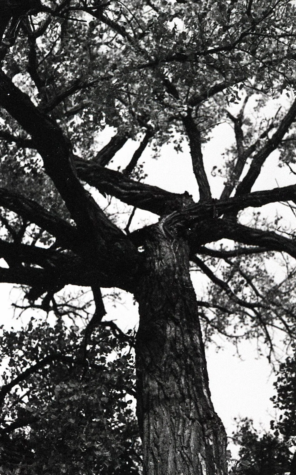 Beautiful Encounters