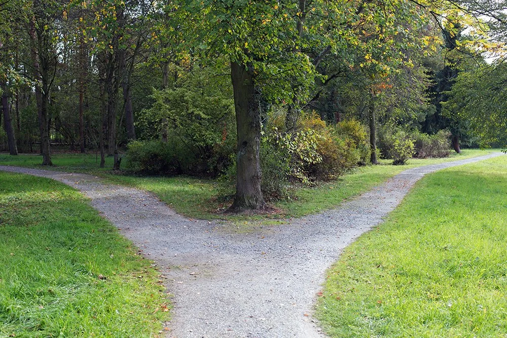 Two paths of disability experience