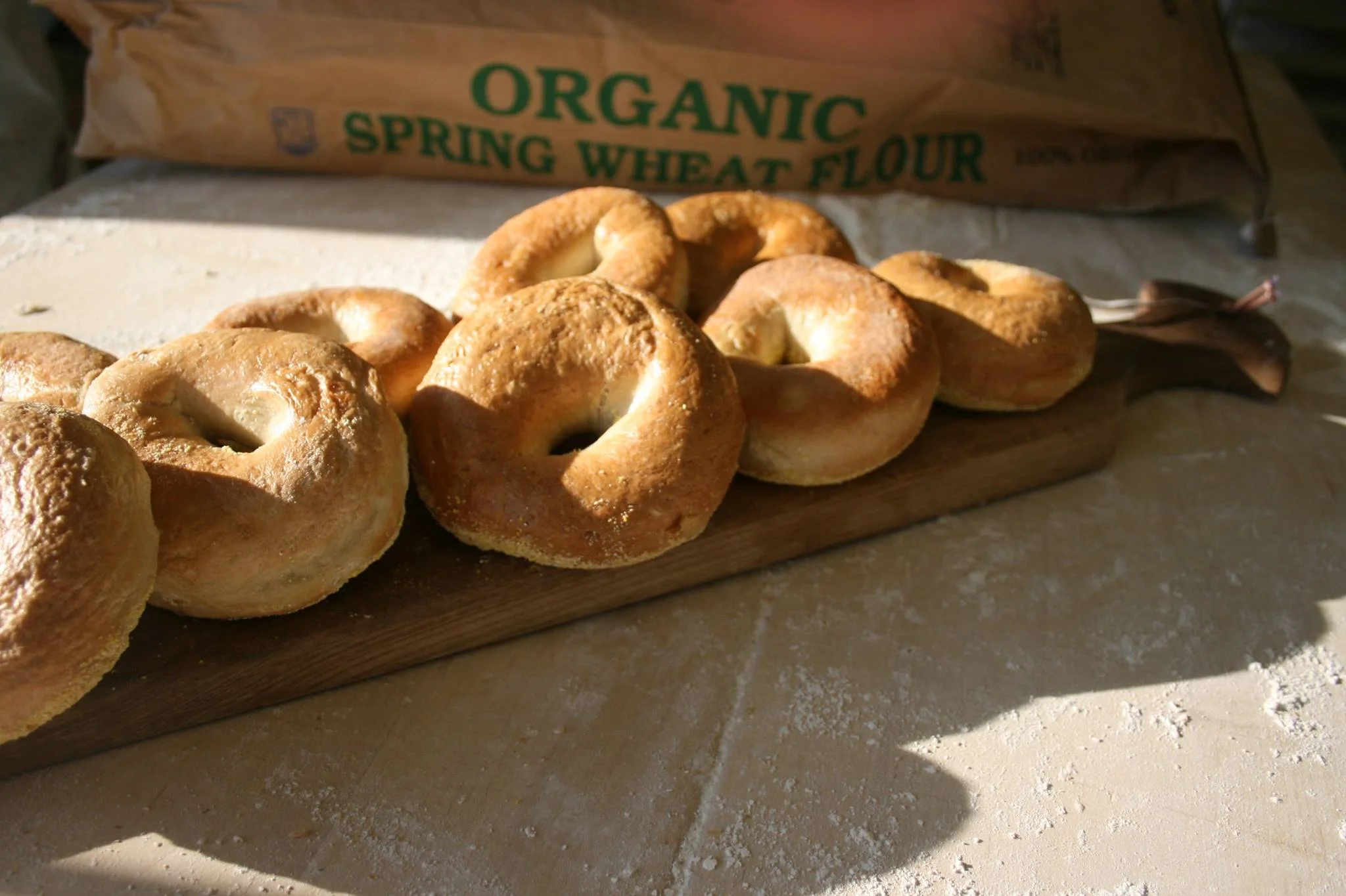 organic bagels.jpg