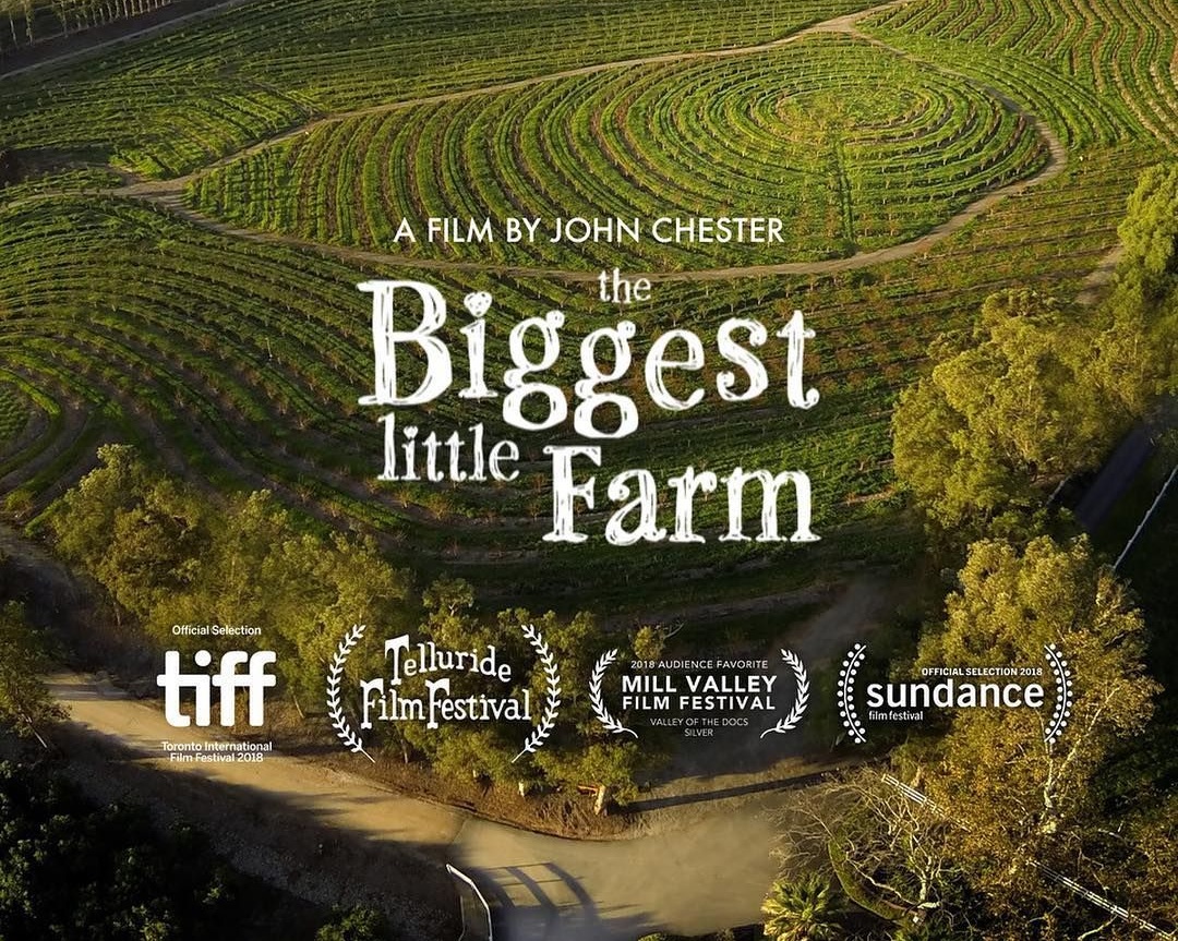 biggest-little-farm-2.jpg