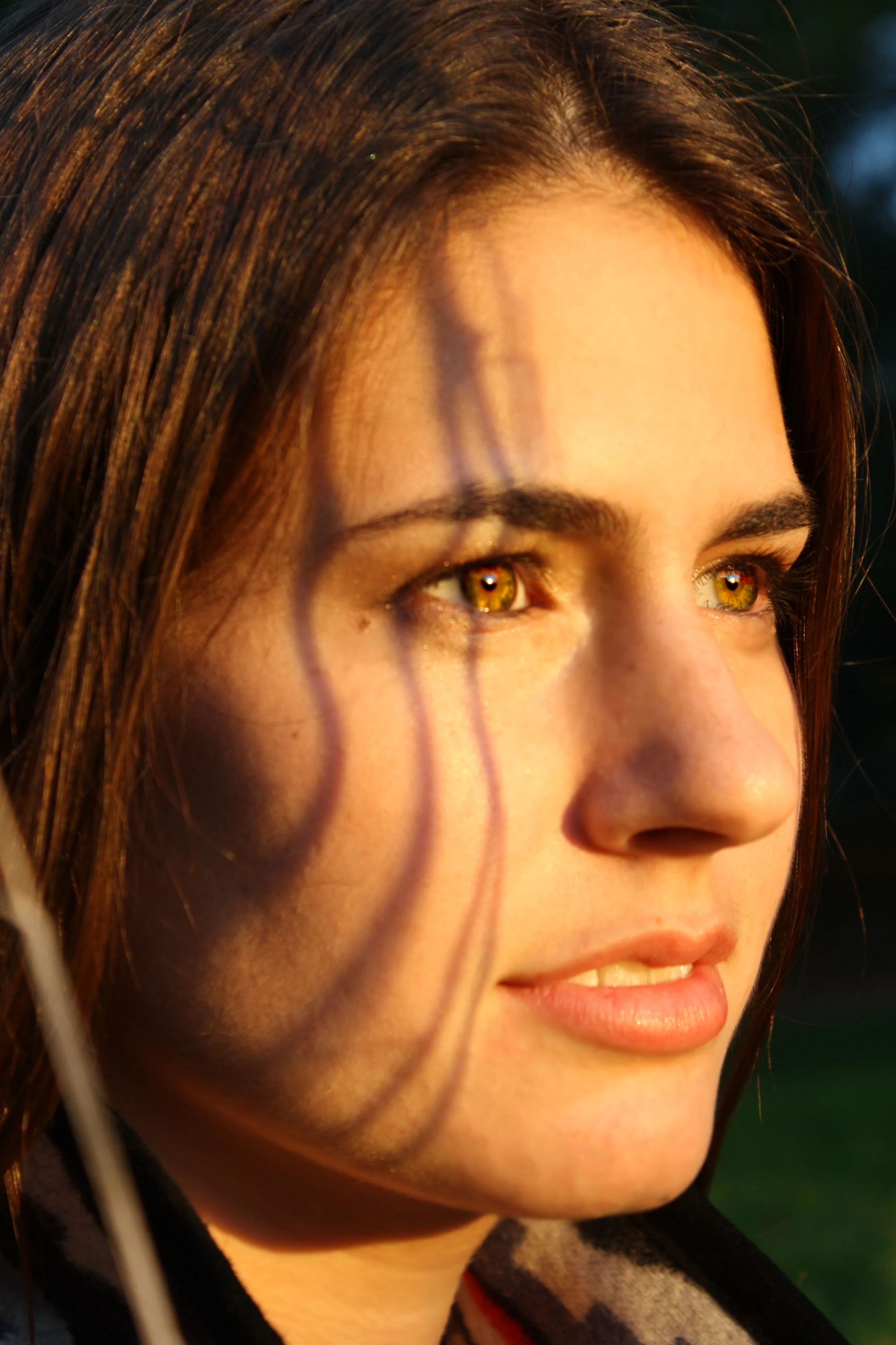 close up 3.jpg