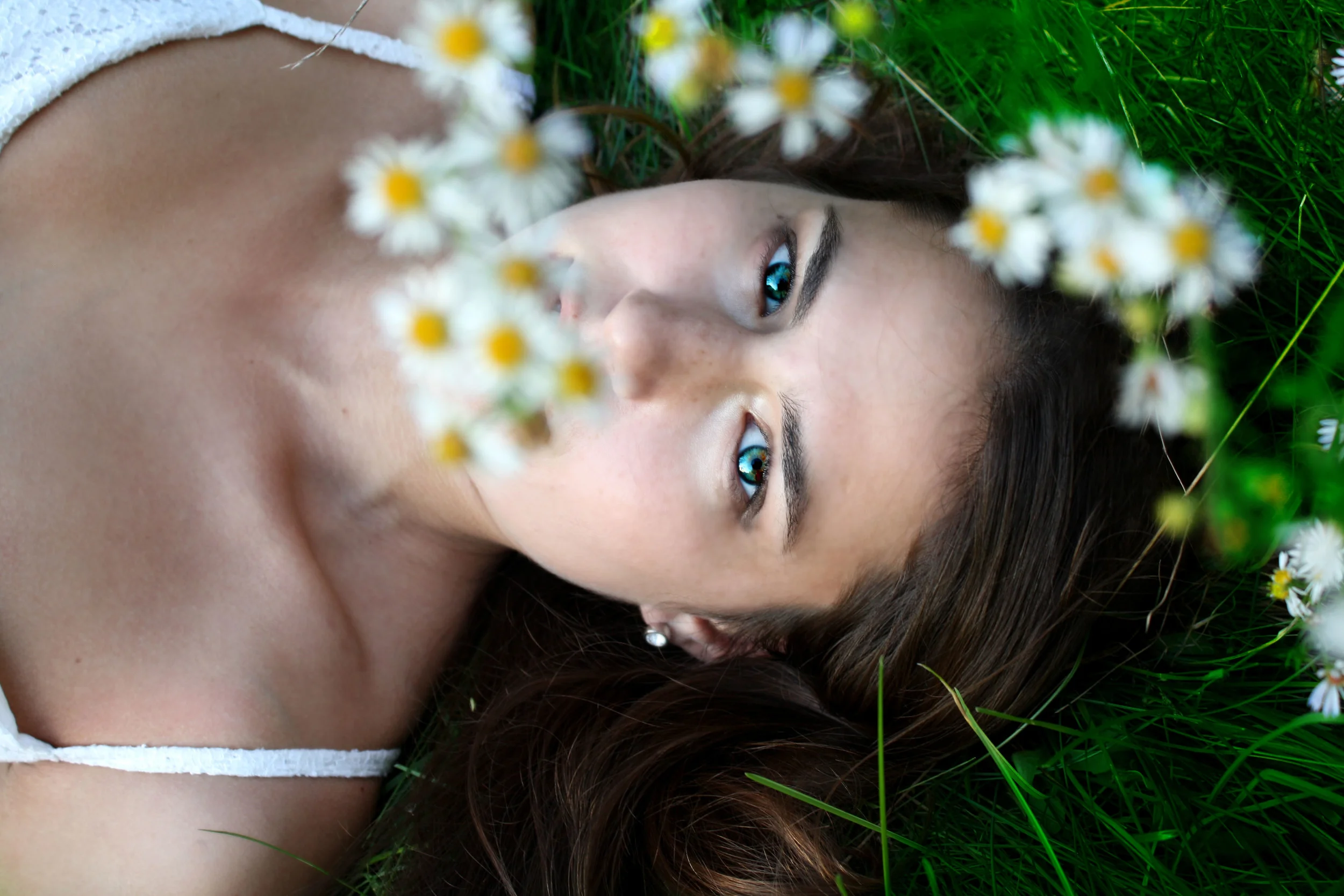 flowers.jpg
