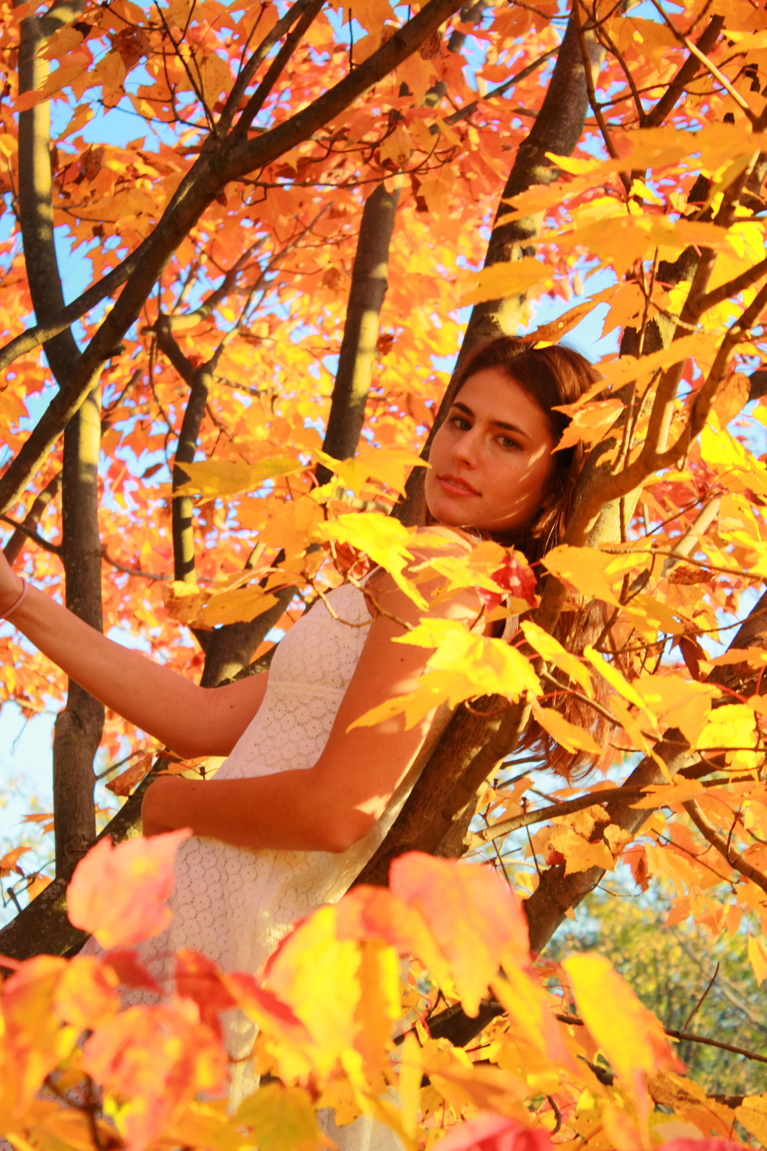 leaves 1.jpg