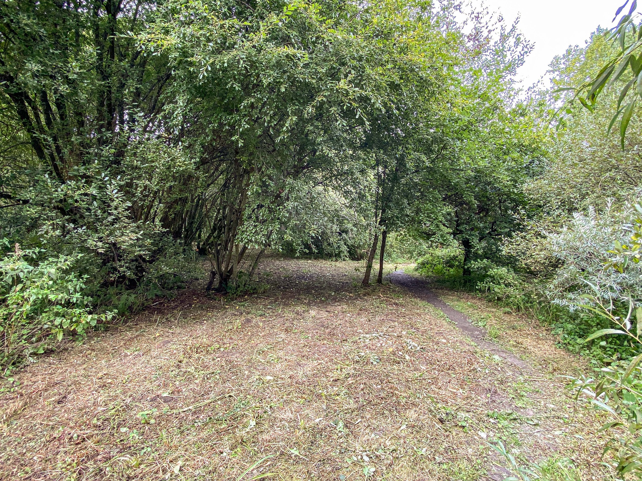   Ditchling   Farm Lane 