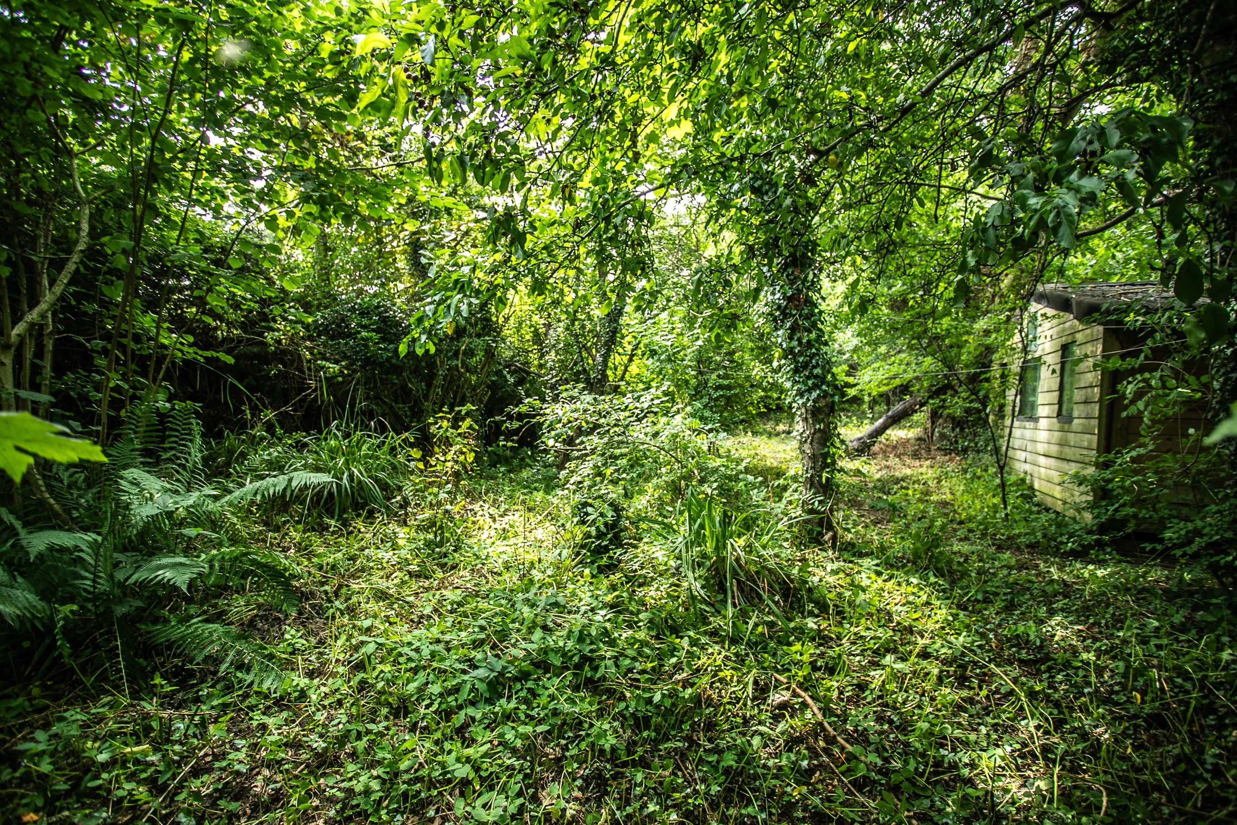 55A North End-10.jpg