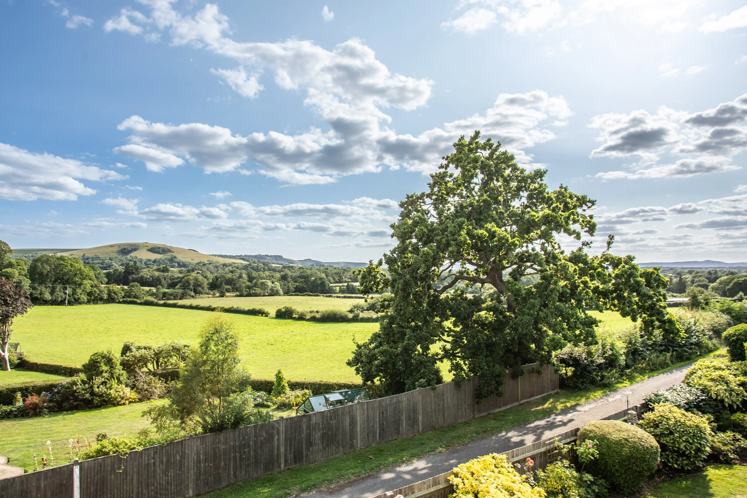 1 Tott Hill65.jpg
