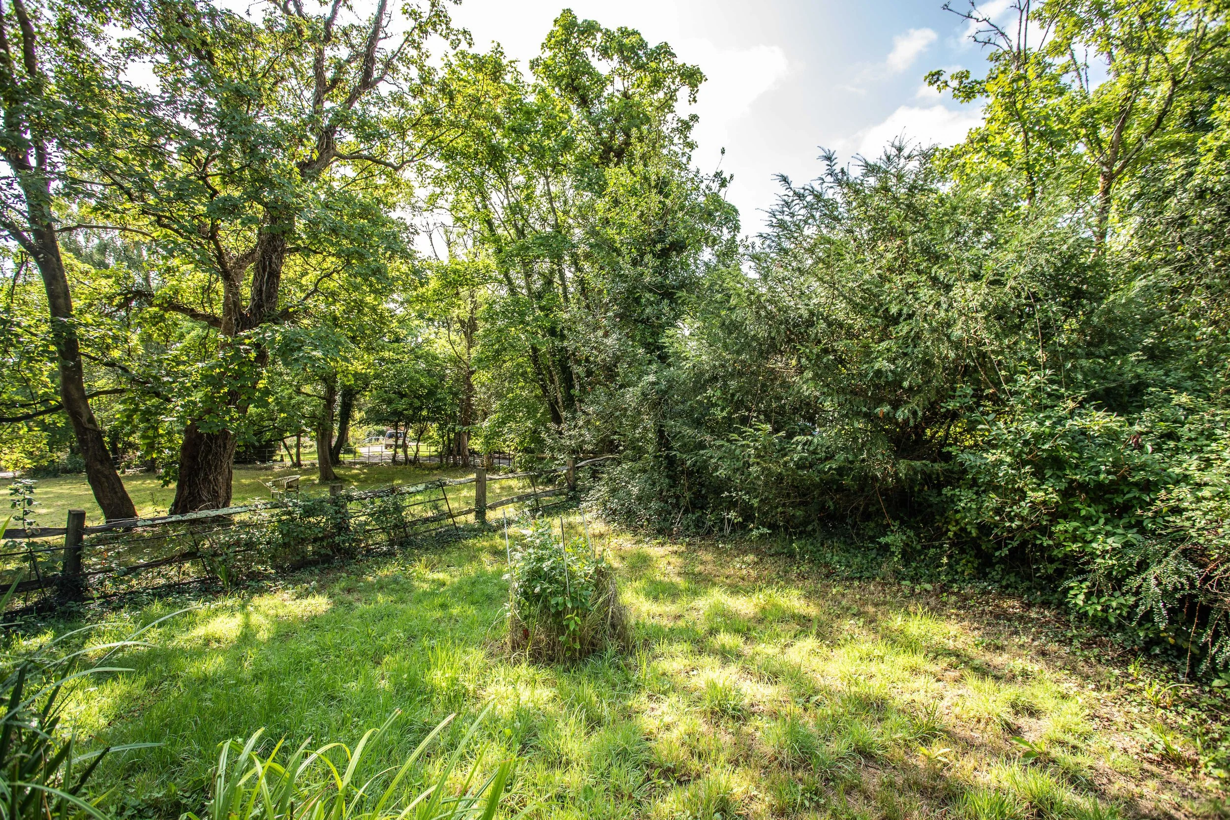 Broadhill Farmhouse-3.jpg