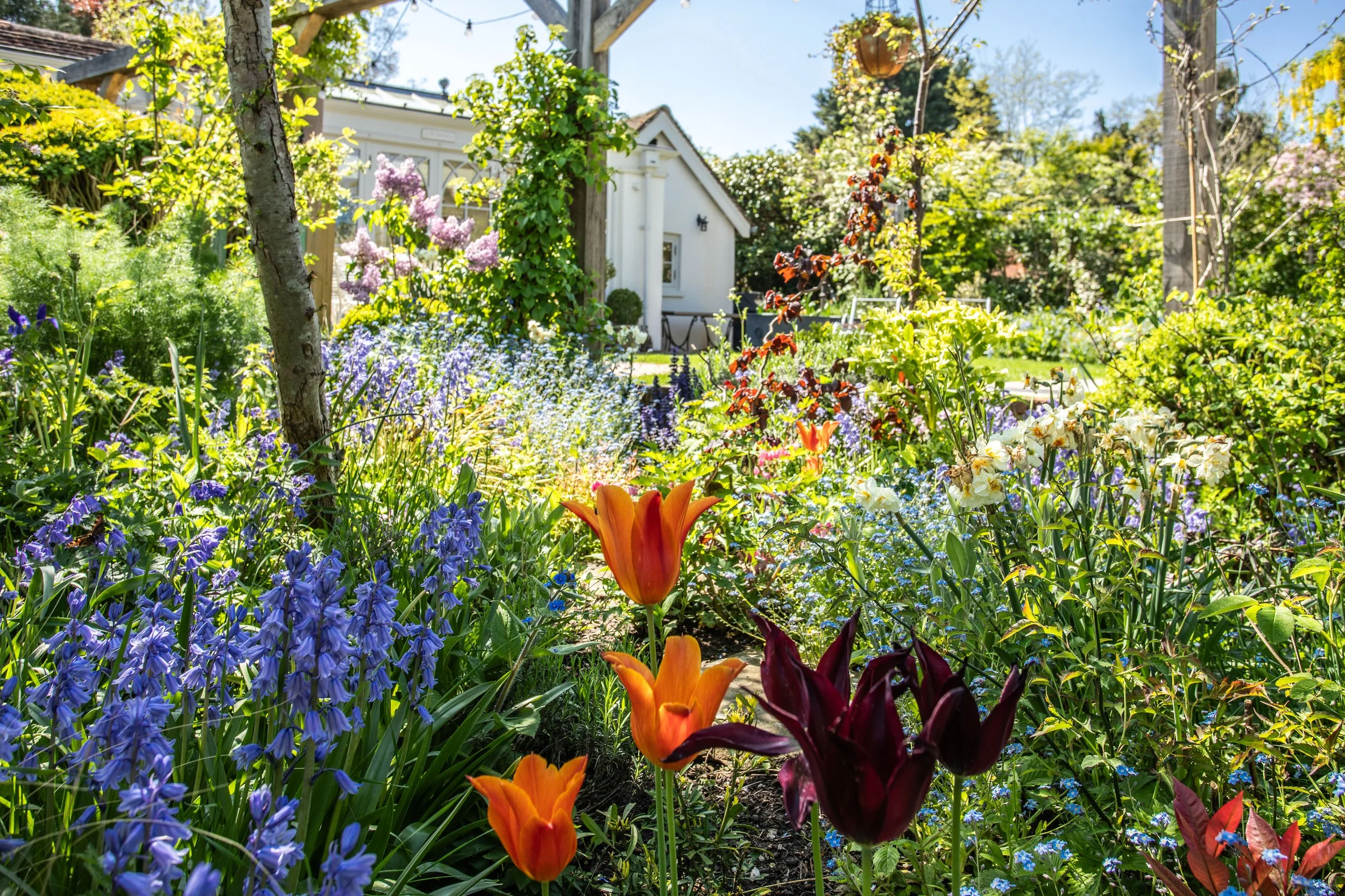 The Old Rookery-39.jpg