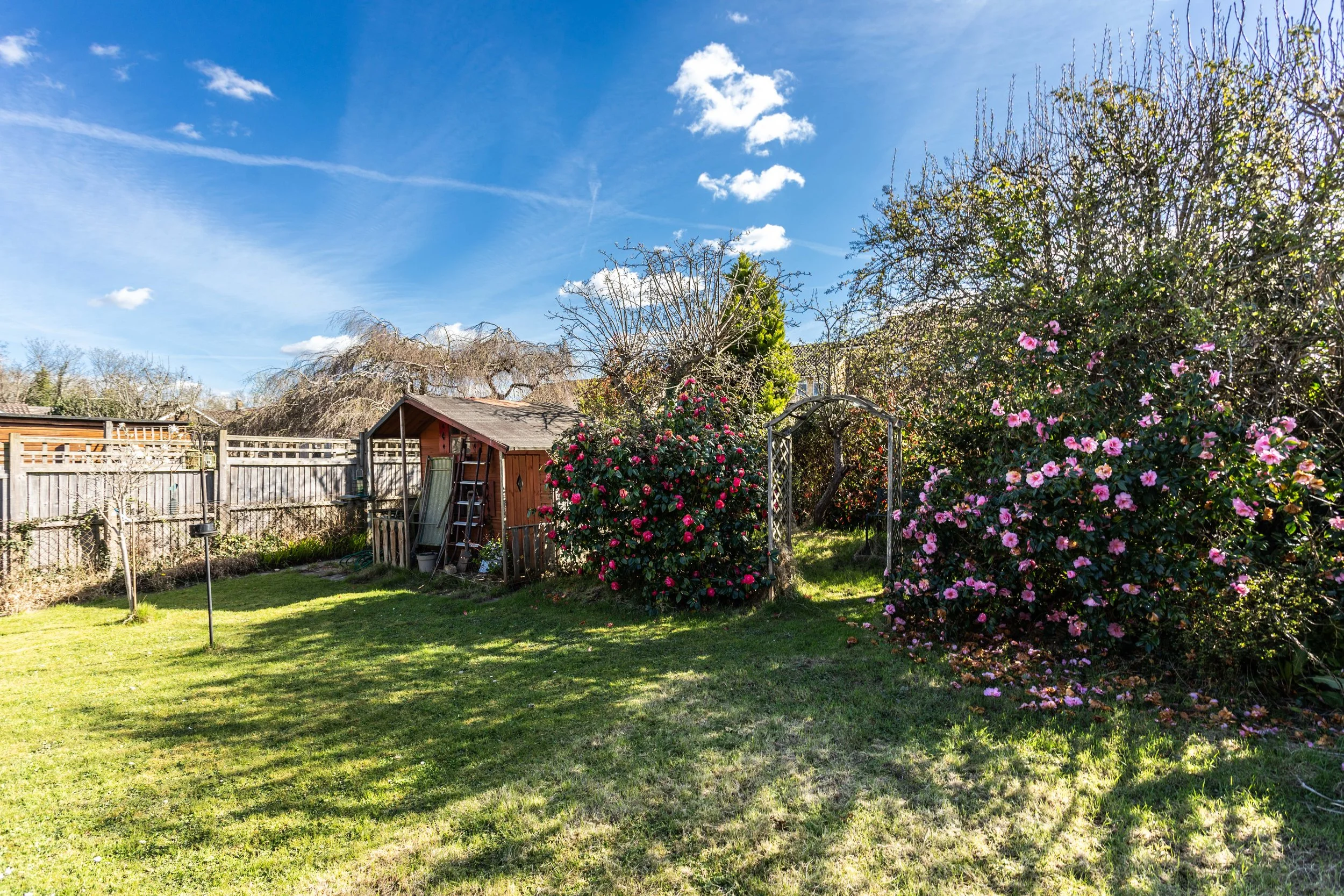 12 Widrness Way New-10.jpg