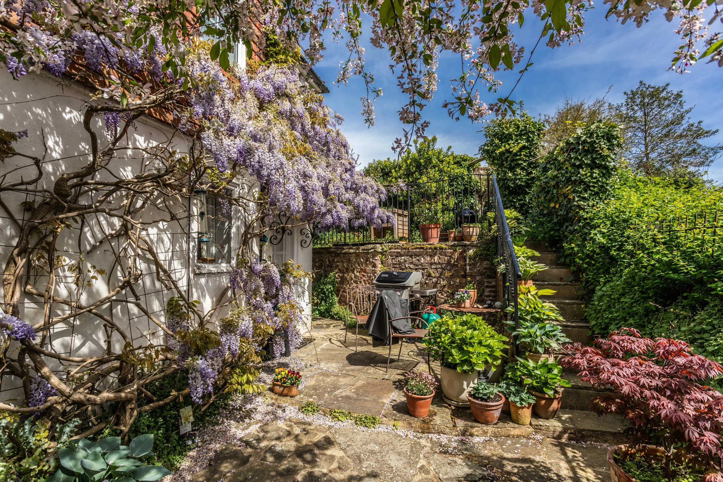 Treeps Cottage Ext-7.jpg
