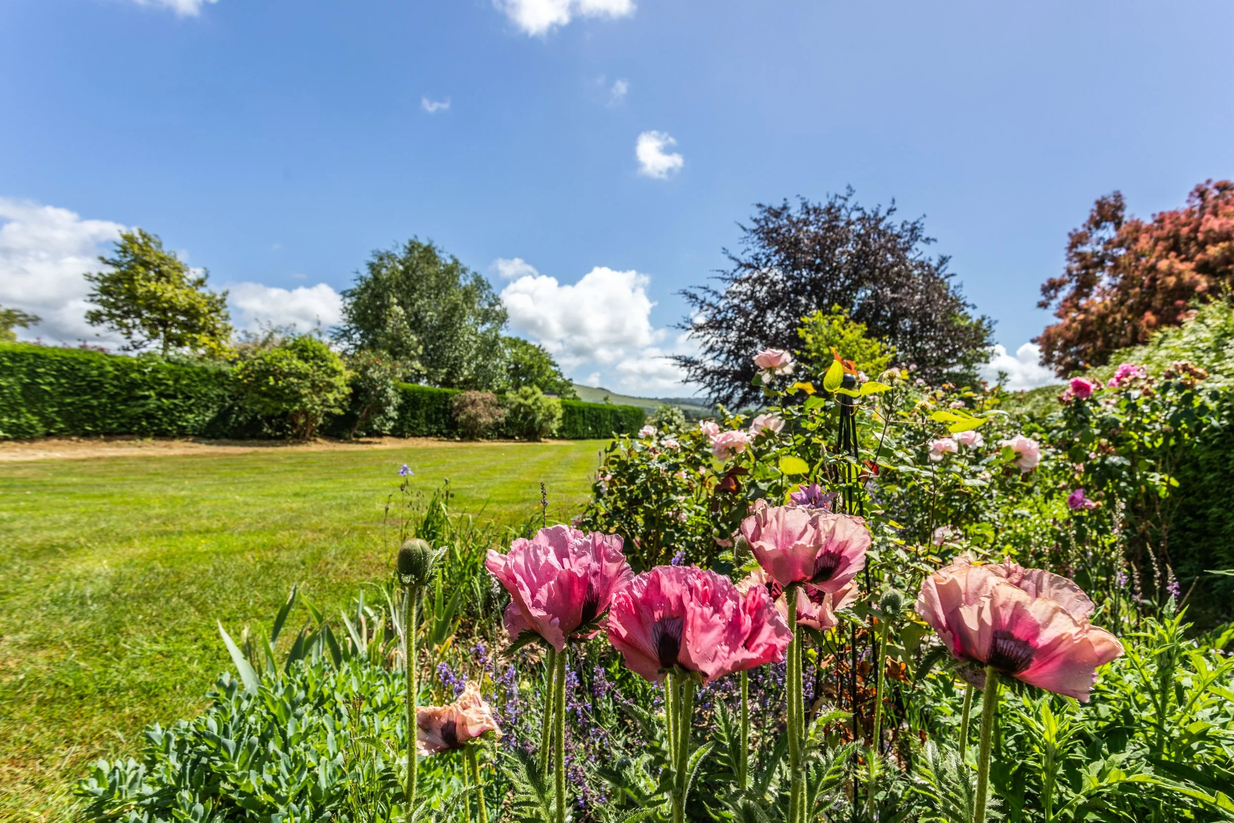 The Beeches14.jpg