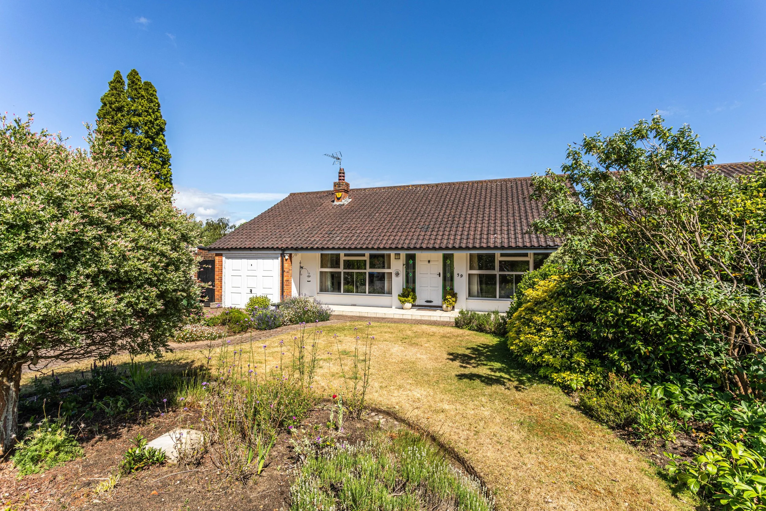 39 Broomfield Road-4.jpg