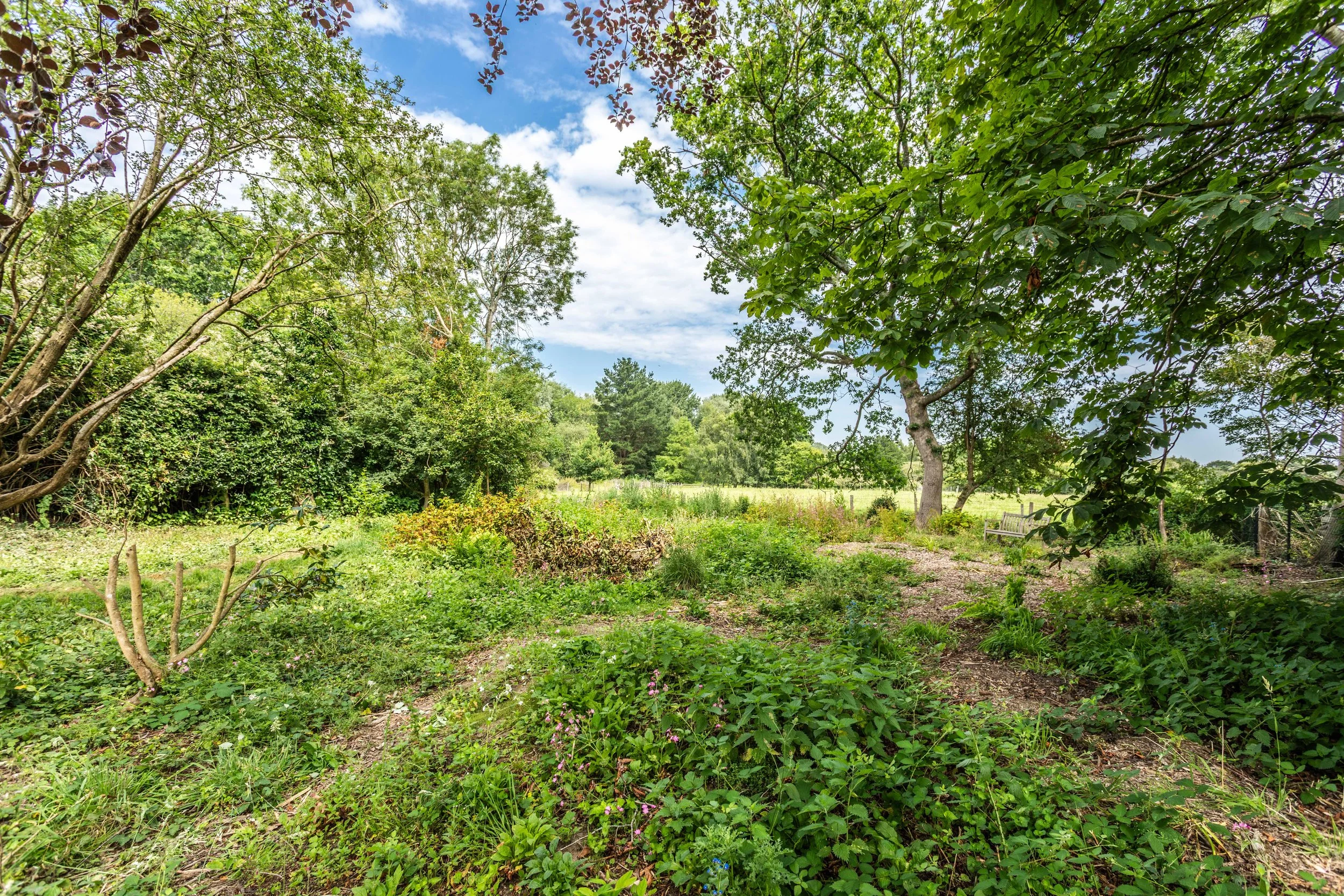 Senge House Plot-23.jpg