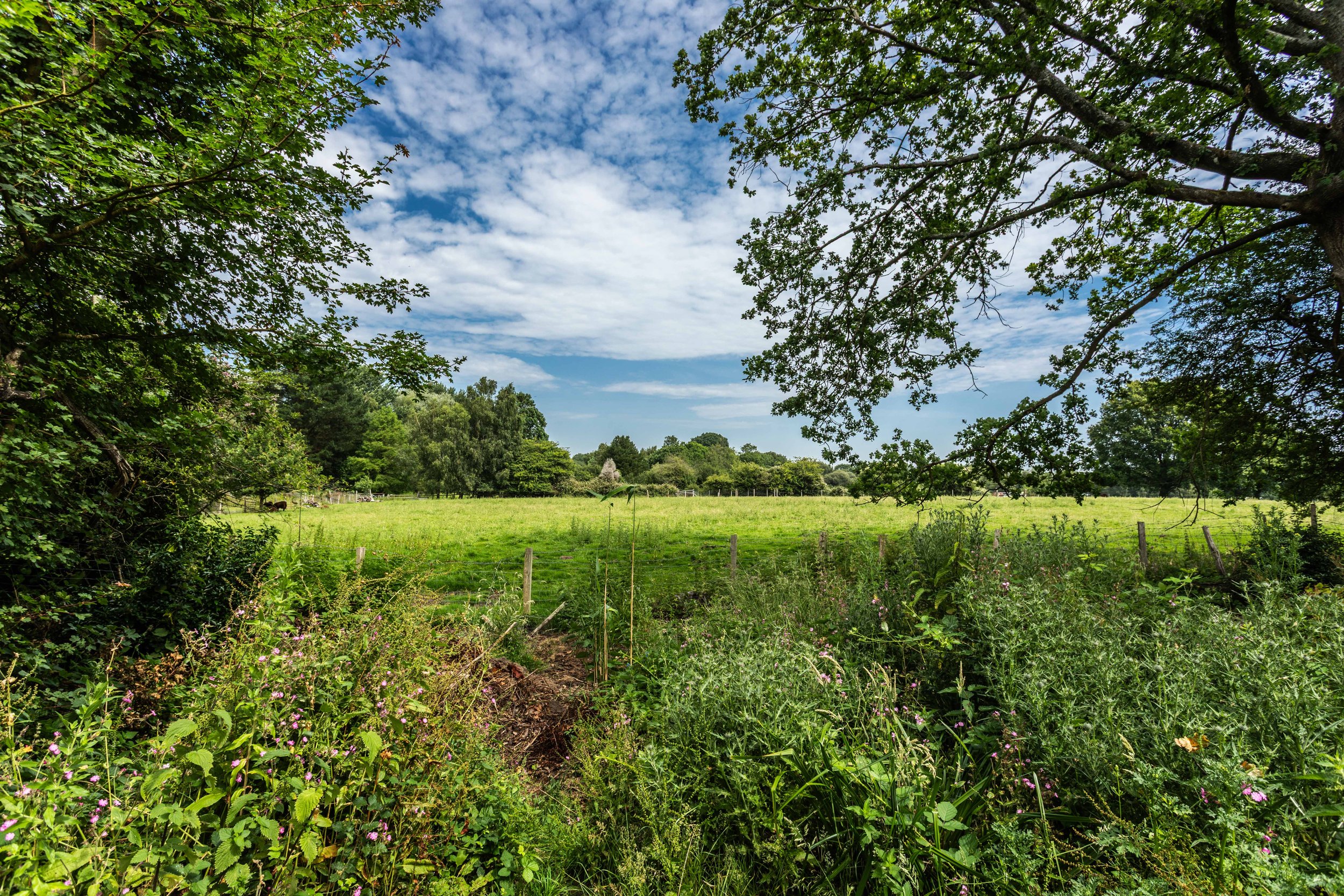 Senge House Plot-37.jpg