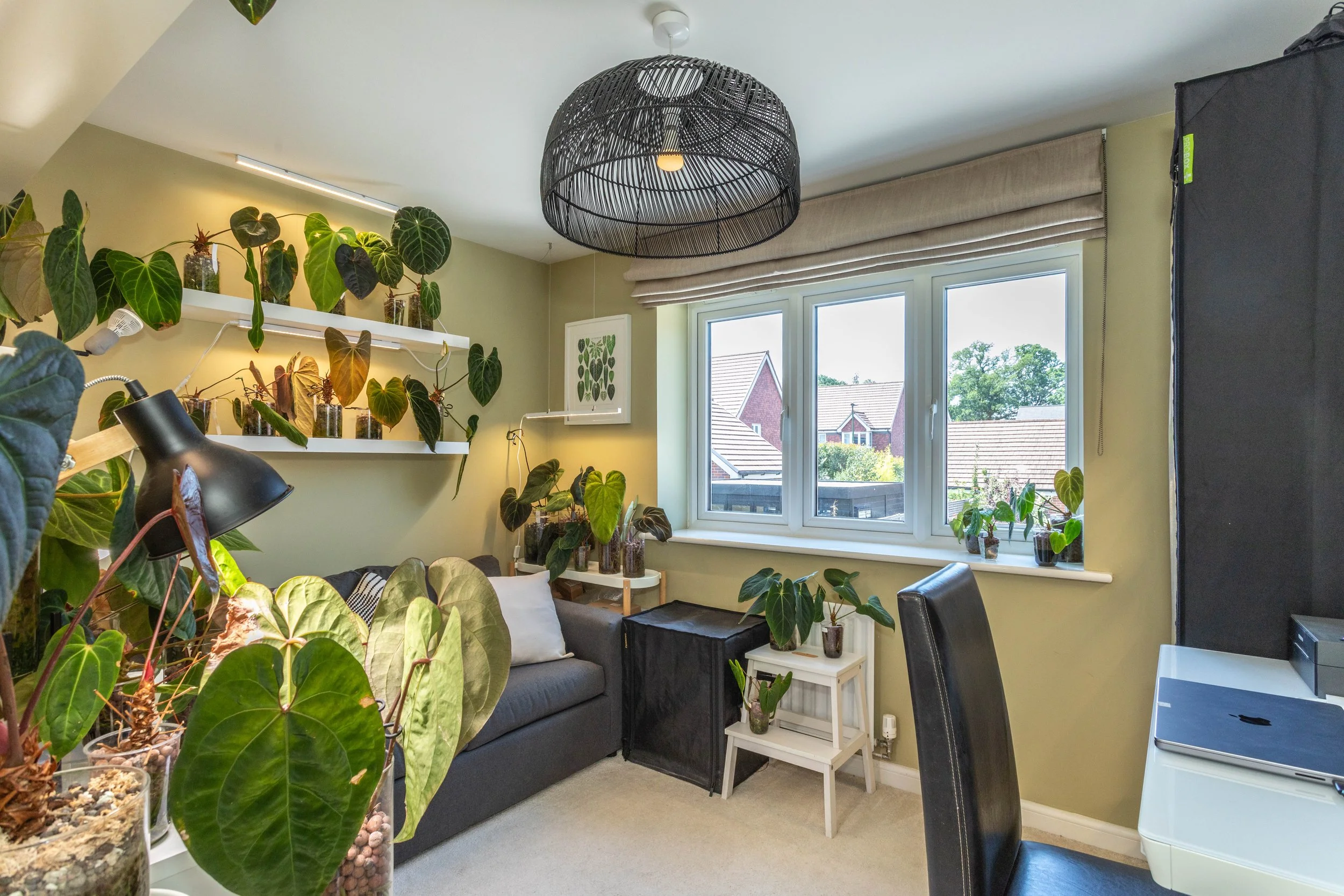 1 Bignall Grove55.jpg