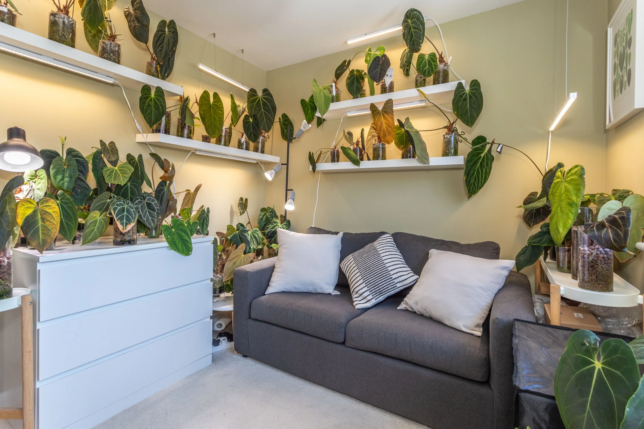 1 Bignall Grove57.jpg