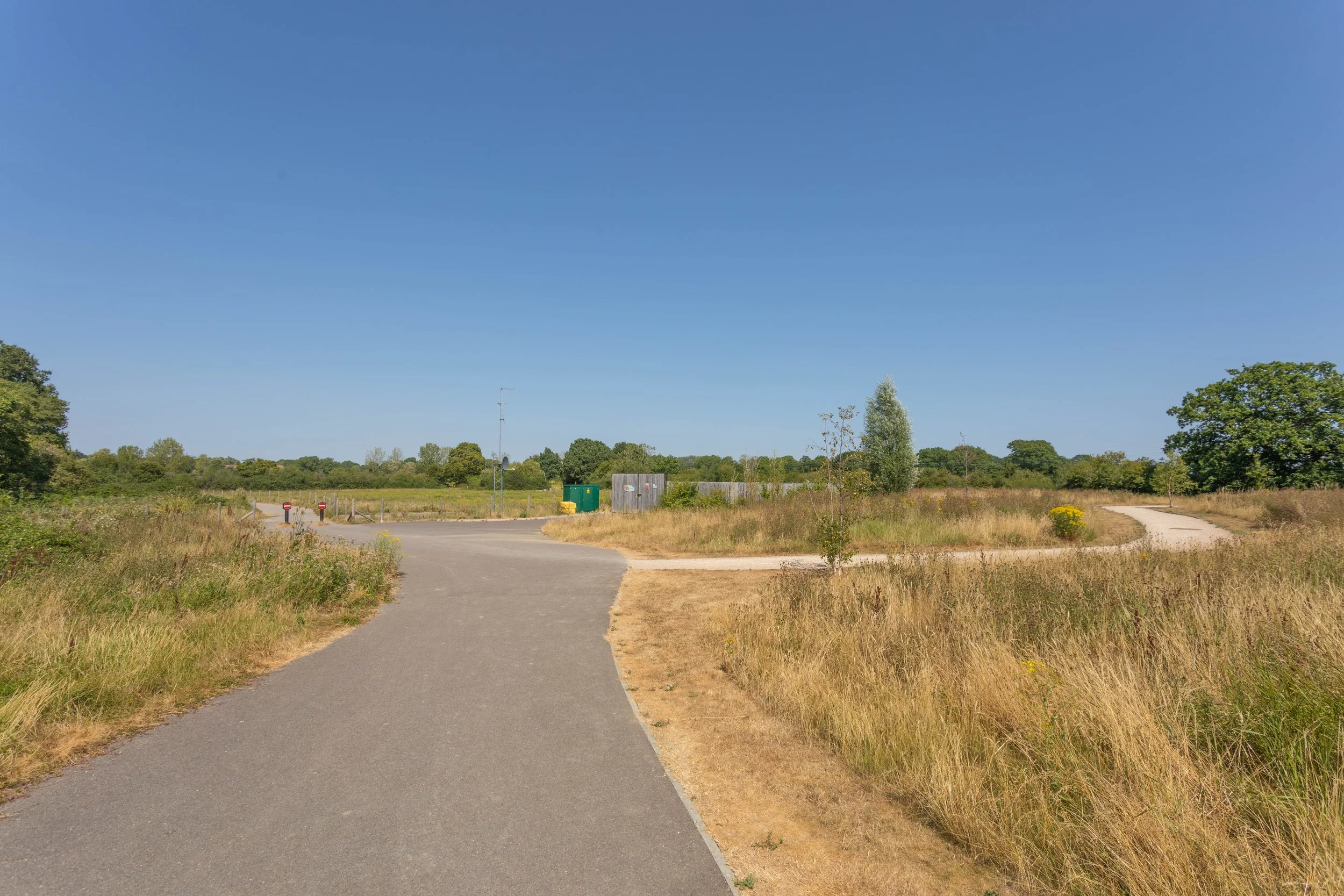 1 Bignall Grove5.jpg