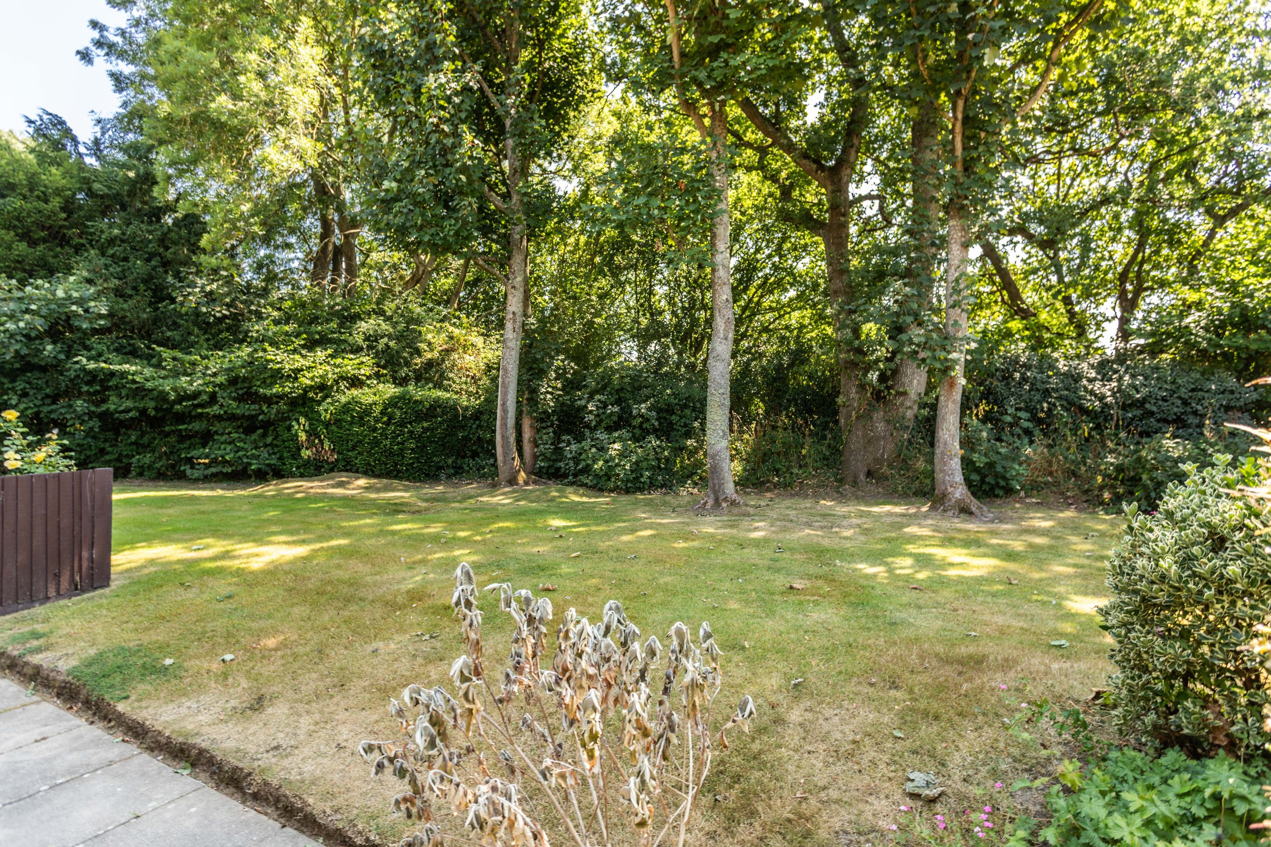 19 Dumbrells Court-4.jpg