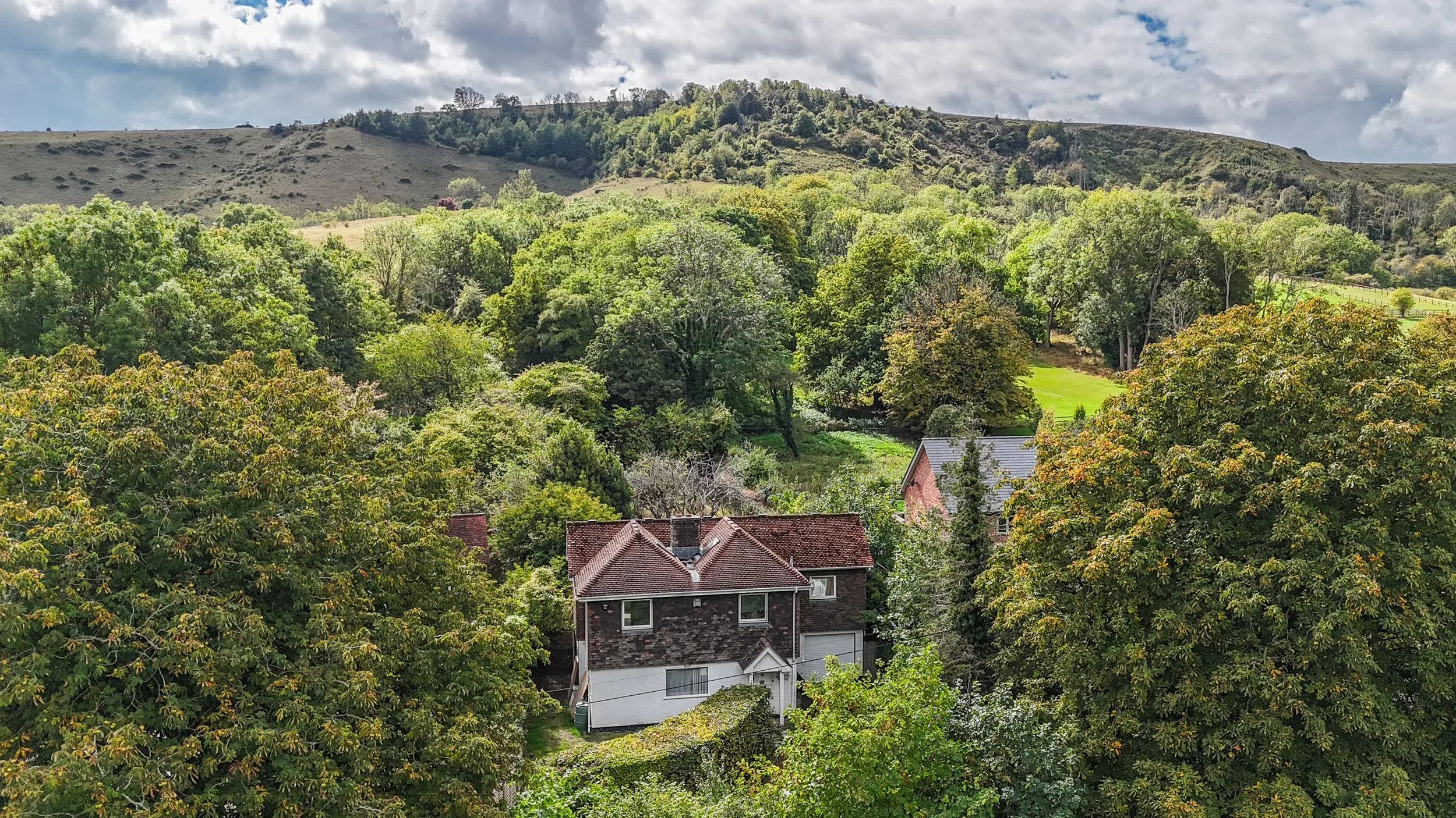Weston Drone-3.jpg