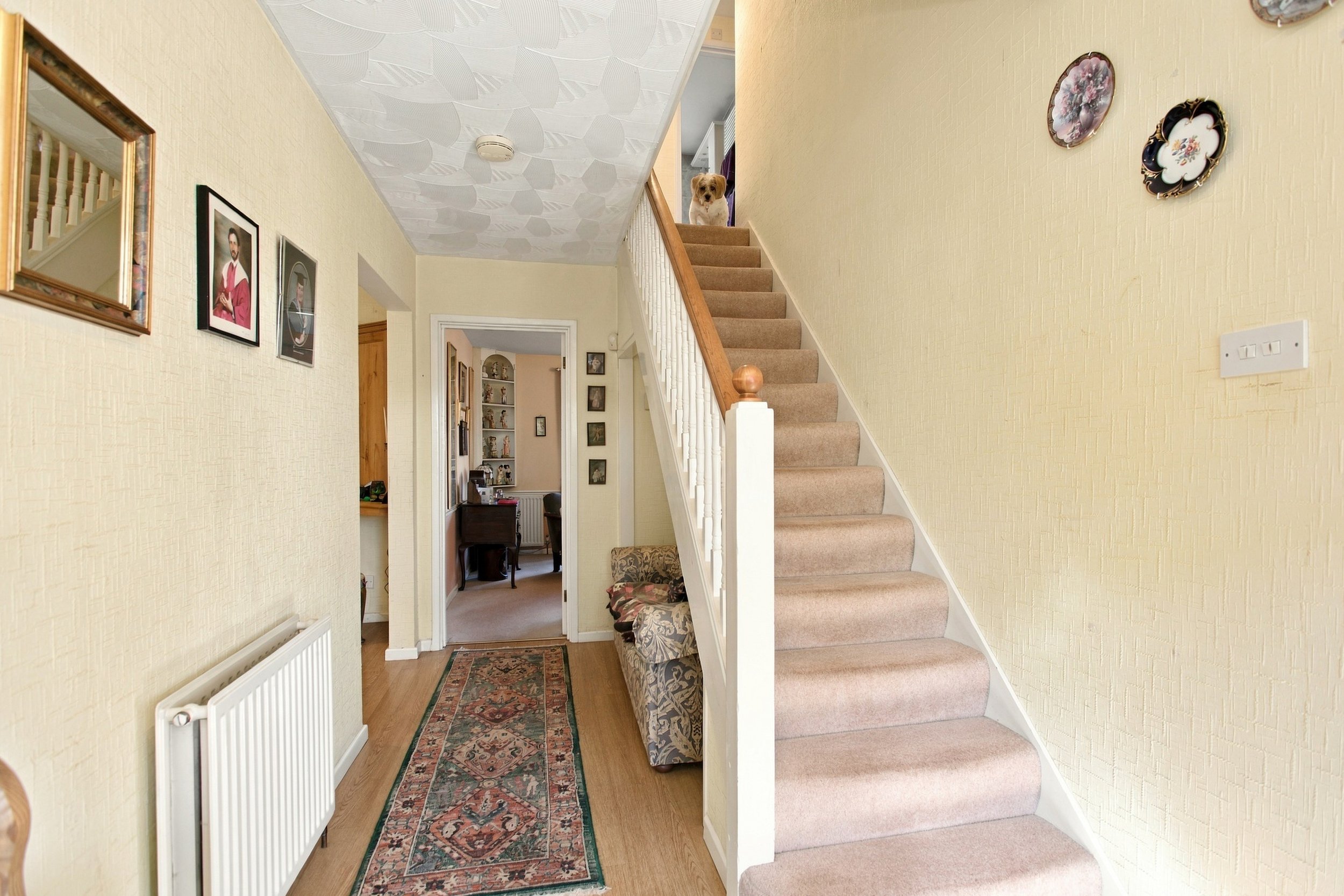 5 Upper St Johns Road18.jpg