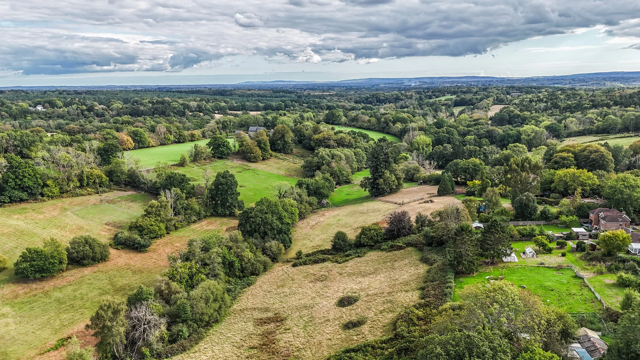 Pepper Alley Drone-7.jpg