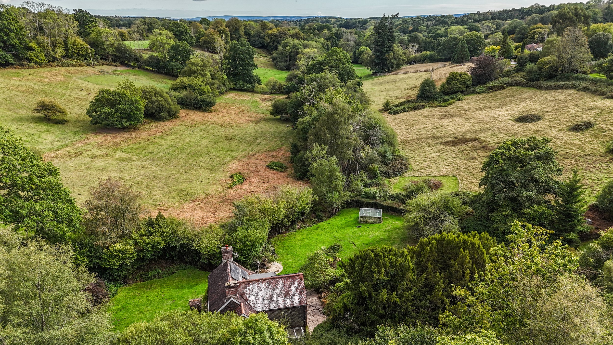Pepper Alley Drone-12.jpg
