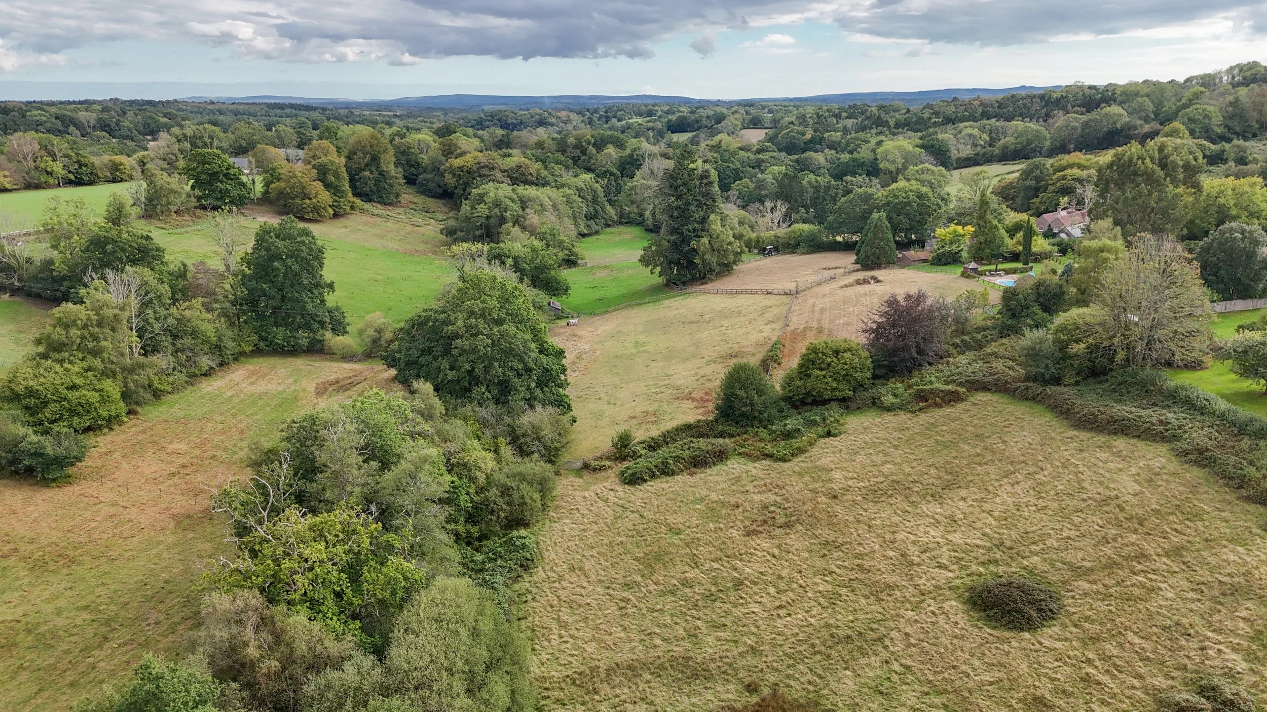 Pepper Alley Drone-14.jpg