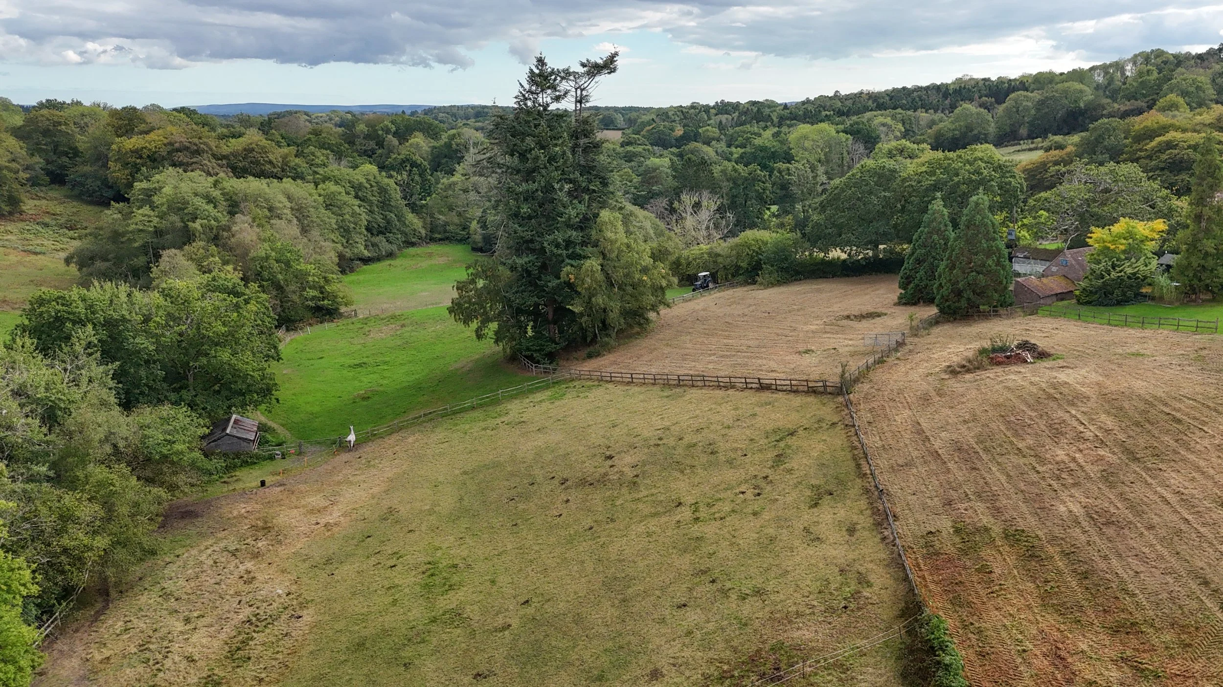 Pepper Alley Drone-15.jpg